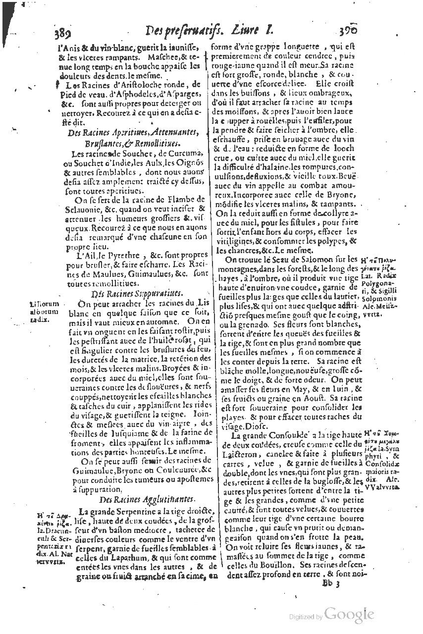1616 - Étienne Gamonet - Grand trésor ou dispensaire - BSB Munich