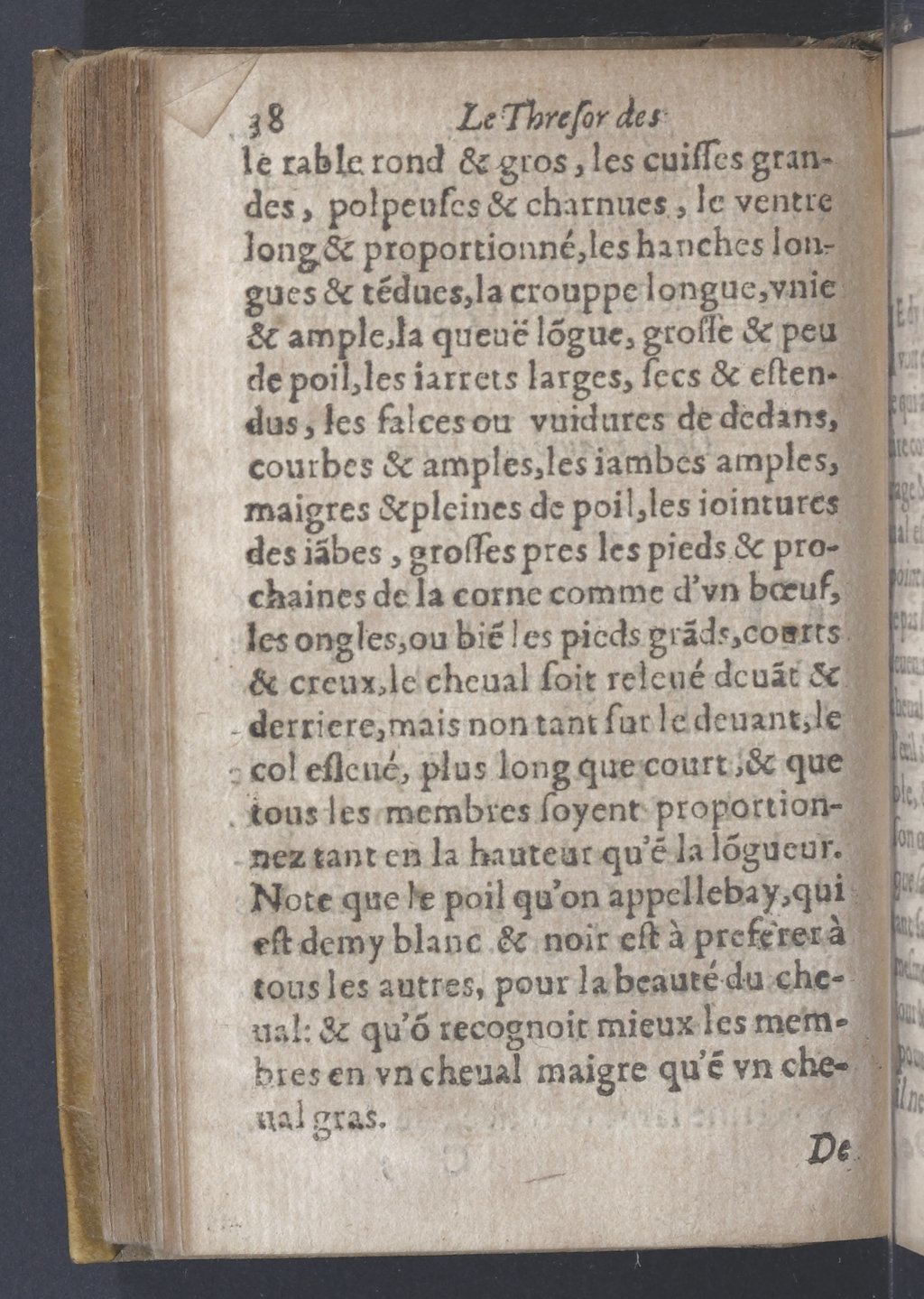 1619 - Pierre Rigaud - Trésor des bêtes chevalines - BnF 1619 - Pierre Rigaud - Trésor des bêtes chevalines - BnF