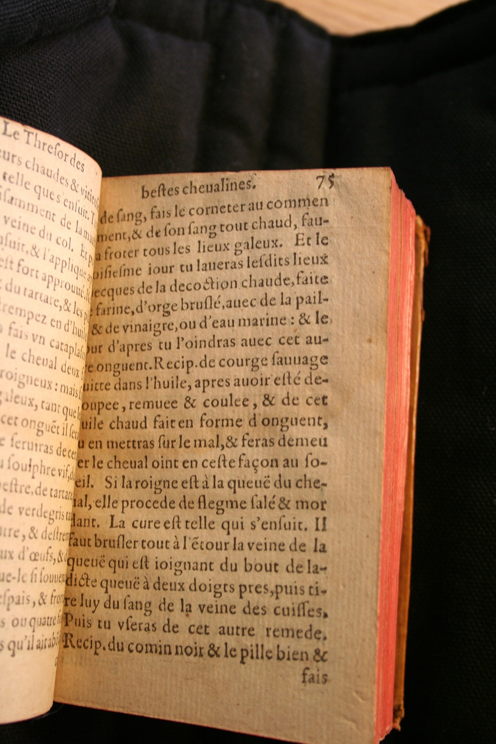 1591 - Pierre Chastaing et Benoît Rigaud - Trésor des bêtes chevalines - BM Bordeaux