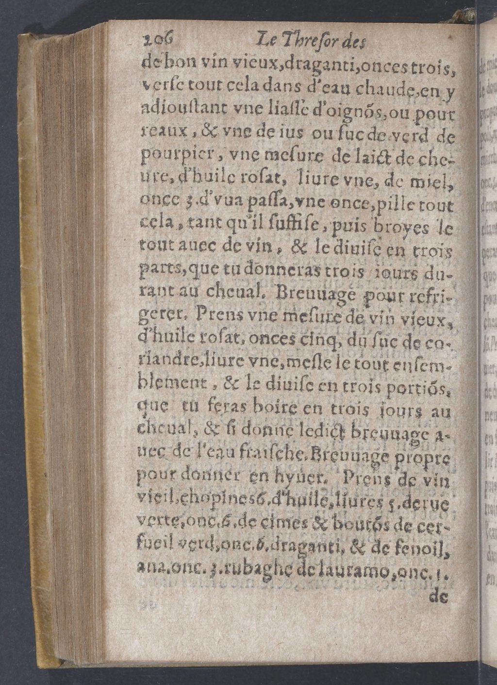 1619 - Pierre Rigaud - Trésor des bêtes chevalines - BnF 1619 - Pierre Rigaud - Trésor des bêtes chevalines - BnF