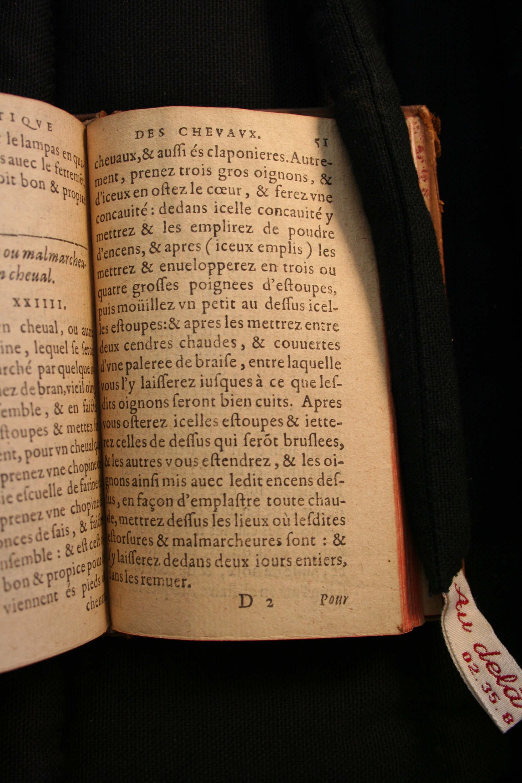 1591 - Pierre Chastaing et Benoît Rigaud - Trésor des bêtes chevalines - BM Bordeaux