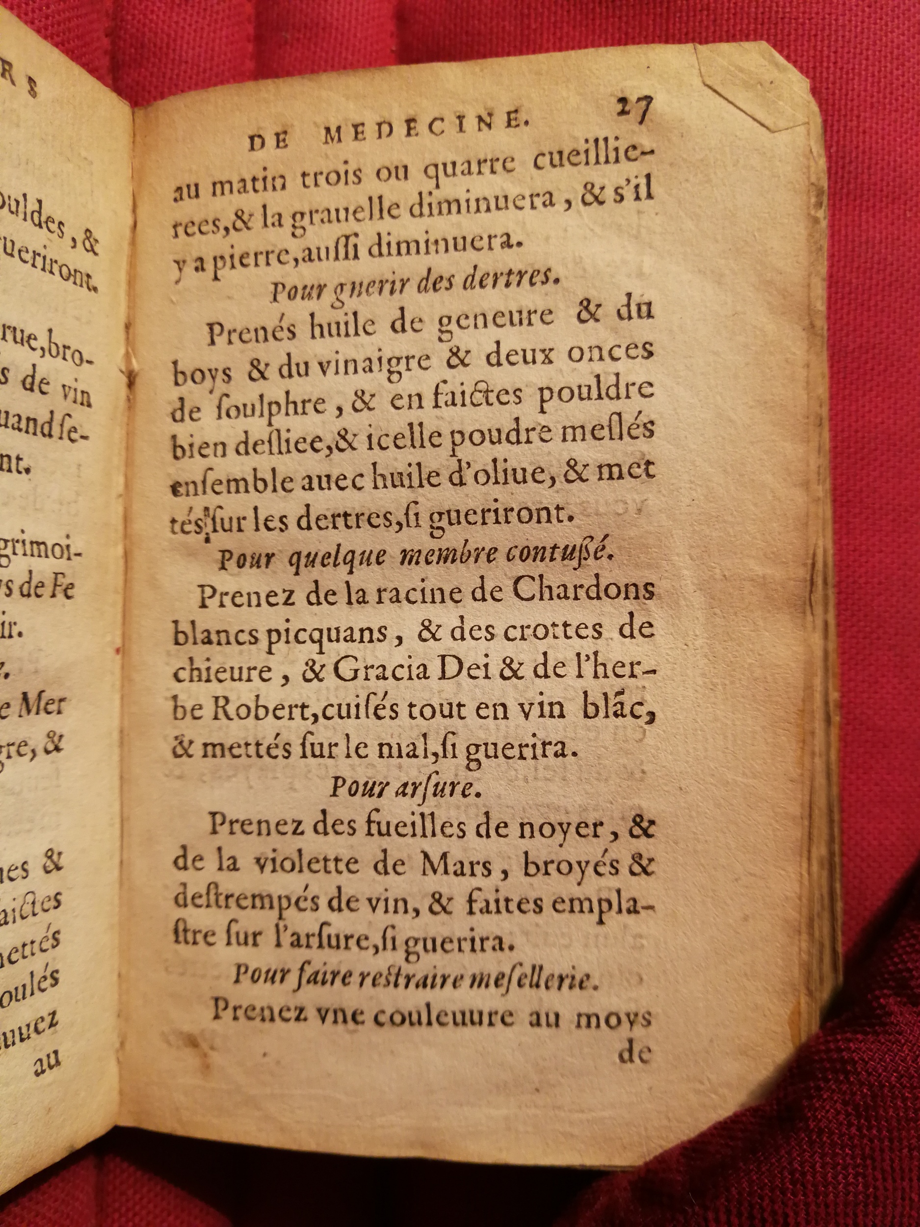 1586 - Benoît Rigaud - Trésor des fleurs et secrets de médecine - Sainte-Geneviève