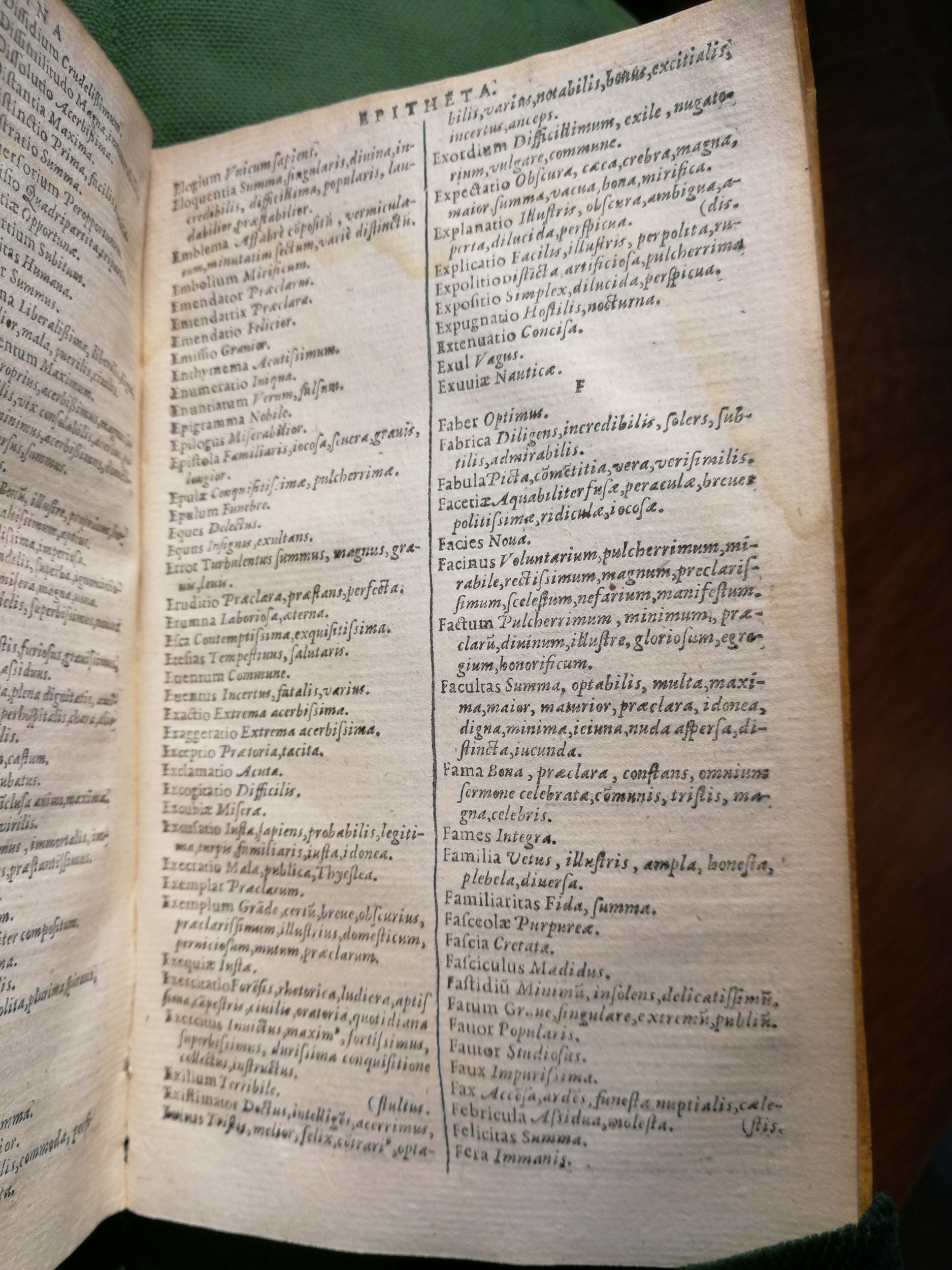 1597 - Martin le Mégissier - Trésor des mots et traits français - BnF