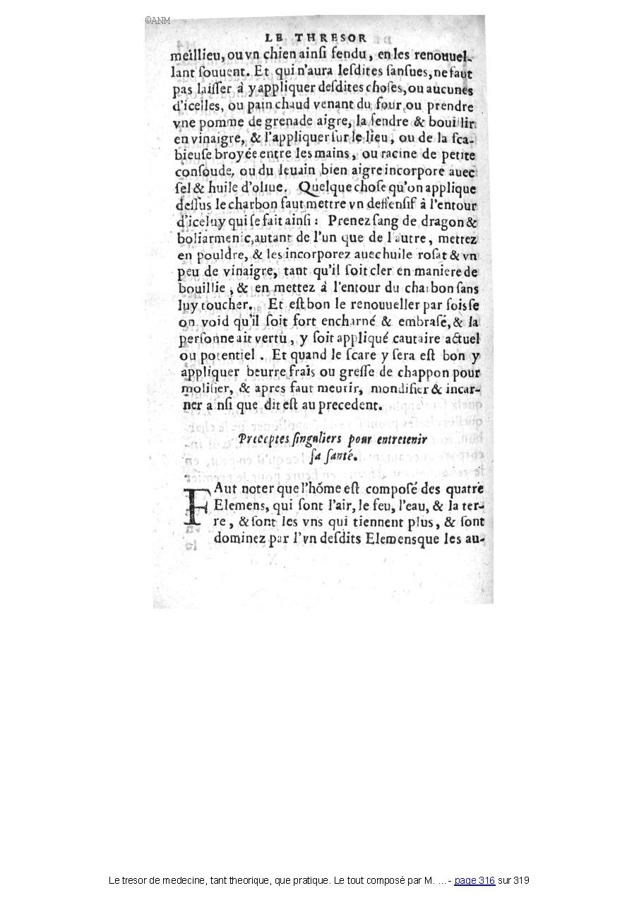 1560 - Pierre et Jan Moine - Trésor de médecine - Université Paris Cité 1560 - Pierre et Jan Moine - Trésor de médecine - Université Paris Cité