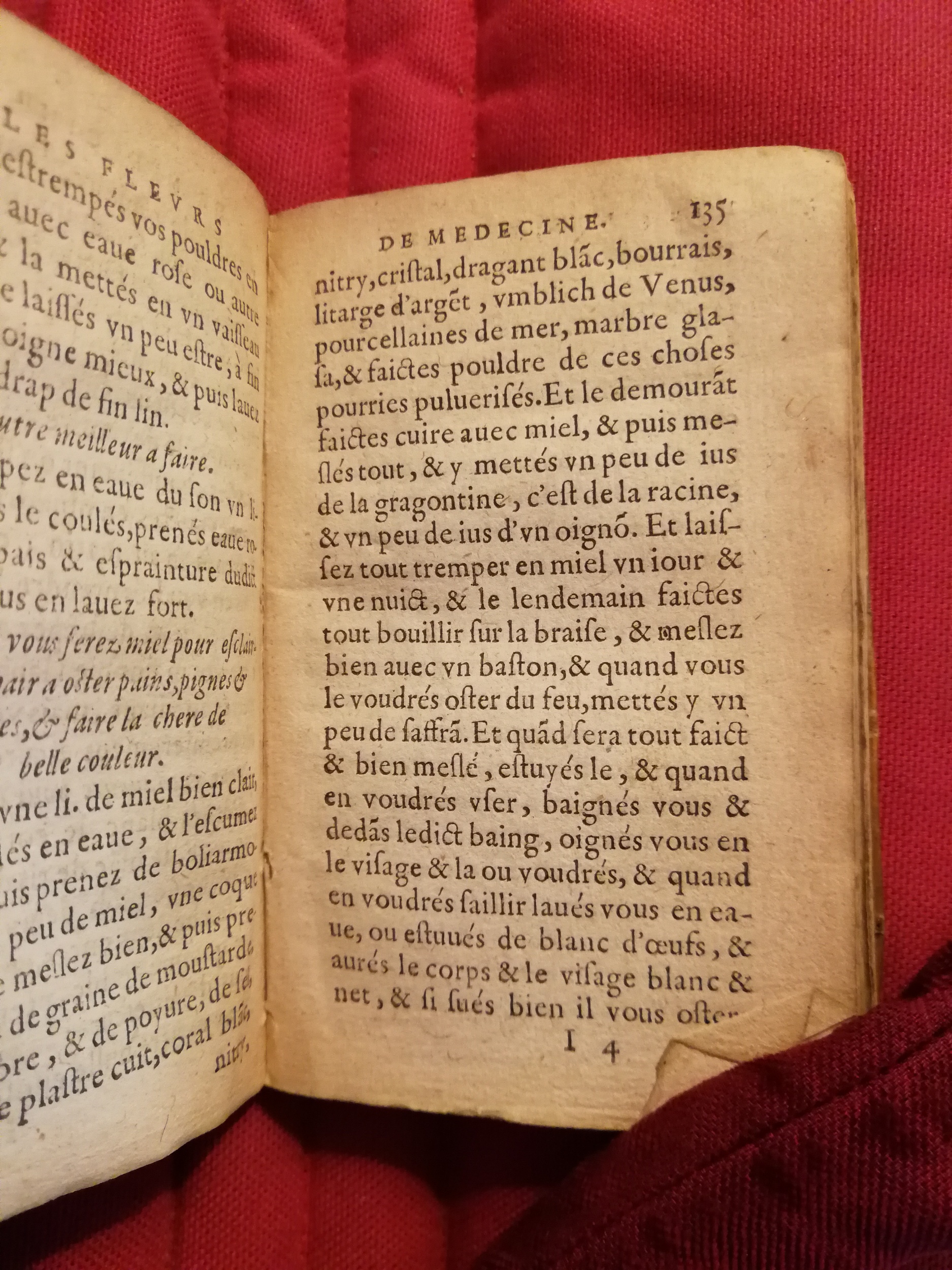 1586 - Benoît Rigaud - Trésor des fleurs et secrets de médecine - Sainte-Geneviève