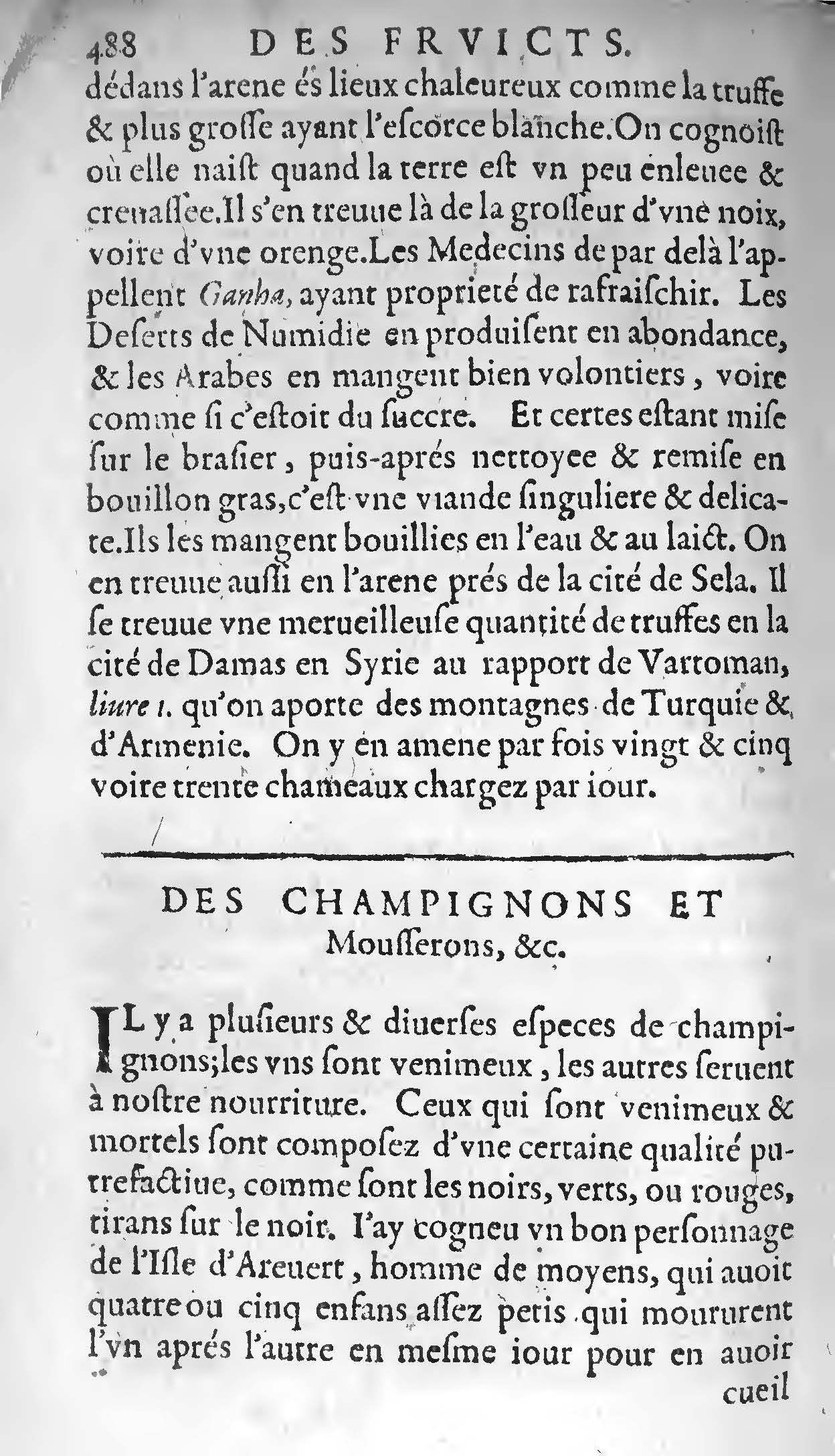 1607 - Étienne Servain et Jean Antoine Huguetan - Trésor de santé ou ménage de la vie humaine - BIU Santé