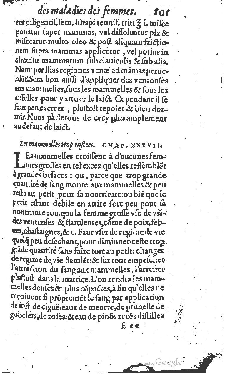 1617 - Jean Le Bouc - Trésor des remèdes secrets - BM Lyon