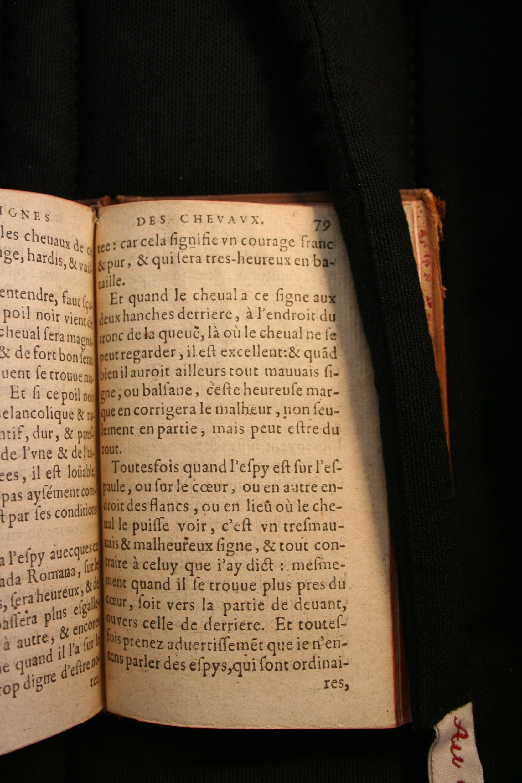 1591 - Pierre Chastaing et Benoît Rigaud - Trésor des bêtes chevalines - BM Bordeaux