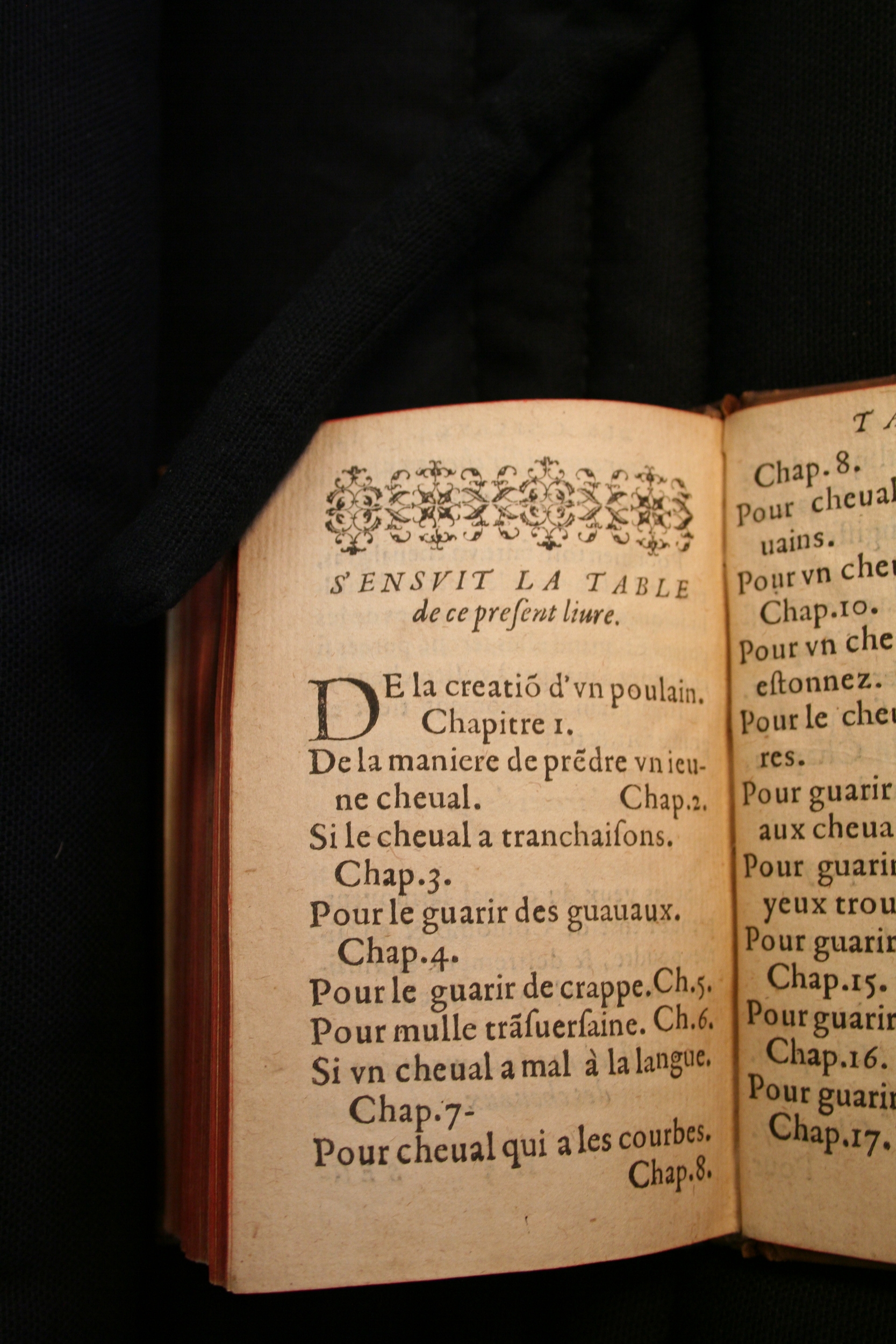 1591 - Pierre Chastaing et Benoît Rigaud - Trésor des bêtes chevalines - BM Bordeaux