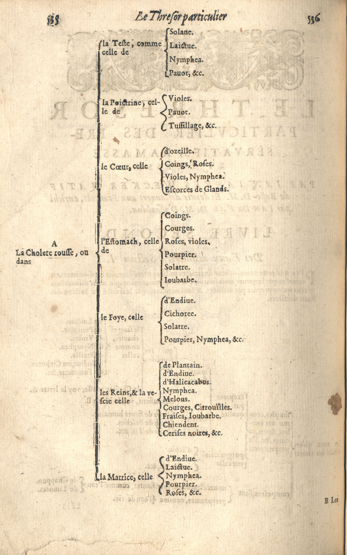 1610 - Étienne Gamonet - Grand Trésor ou dispensaire - CESR Tours