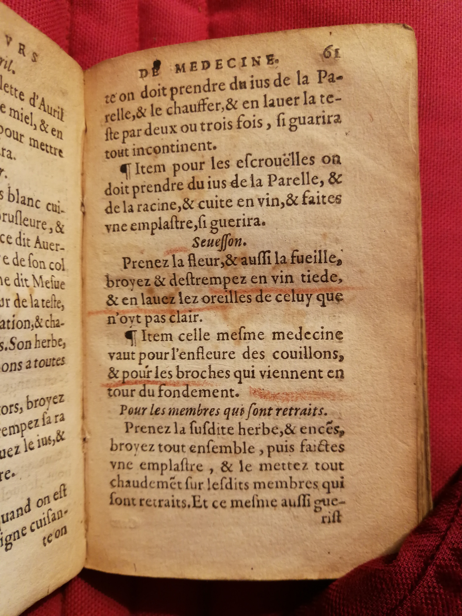 1586 - Benoît Rigaud - Trésor des fleurs et secrets de médecine - Sainte-Geneviève
