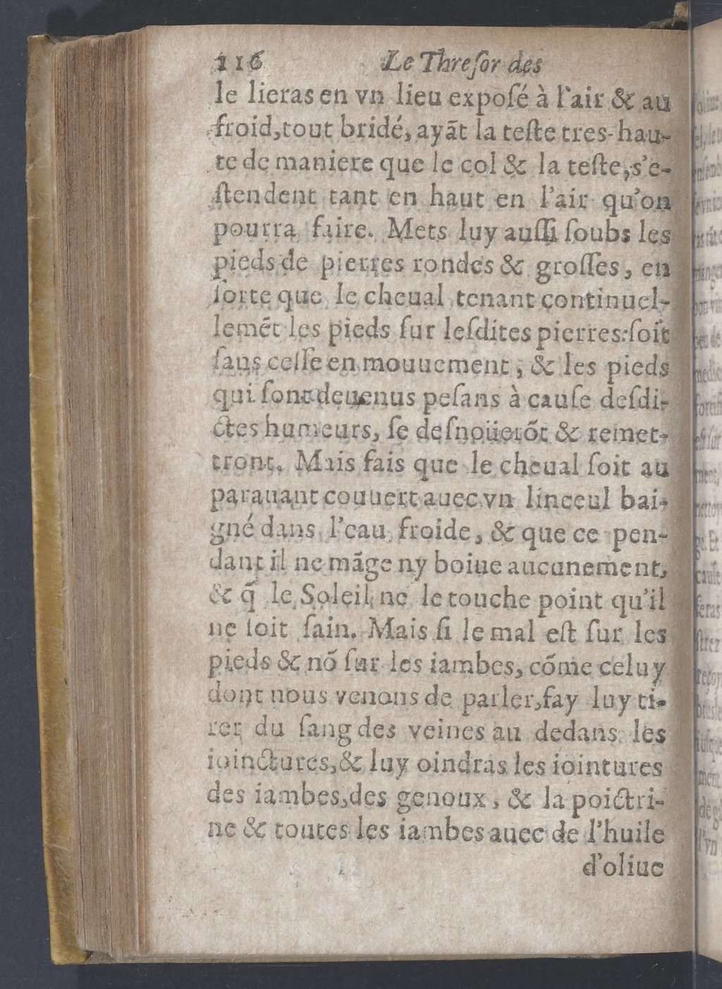 1619 - Pierre Rigaud - Trésor des bêtes chevalines - BnF 1619 - Pierre Rigaud - Trésor des bêtes chevalines - BnF
