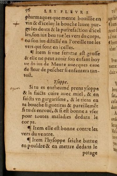 1586 - Benoît Rigaud - Trésor des fleurs et secrets de médecine - Université Paris Cité
