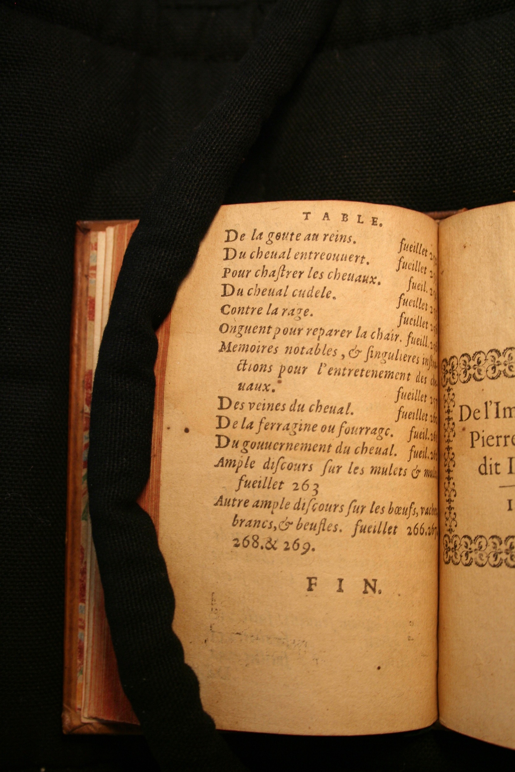 1591 - Pierre Chastaing et Benoît Rigaud - Trésor des bêtes chevalines - BM Bordeaux