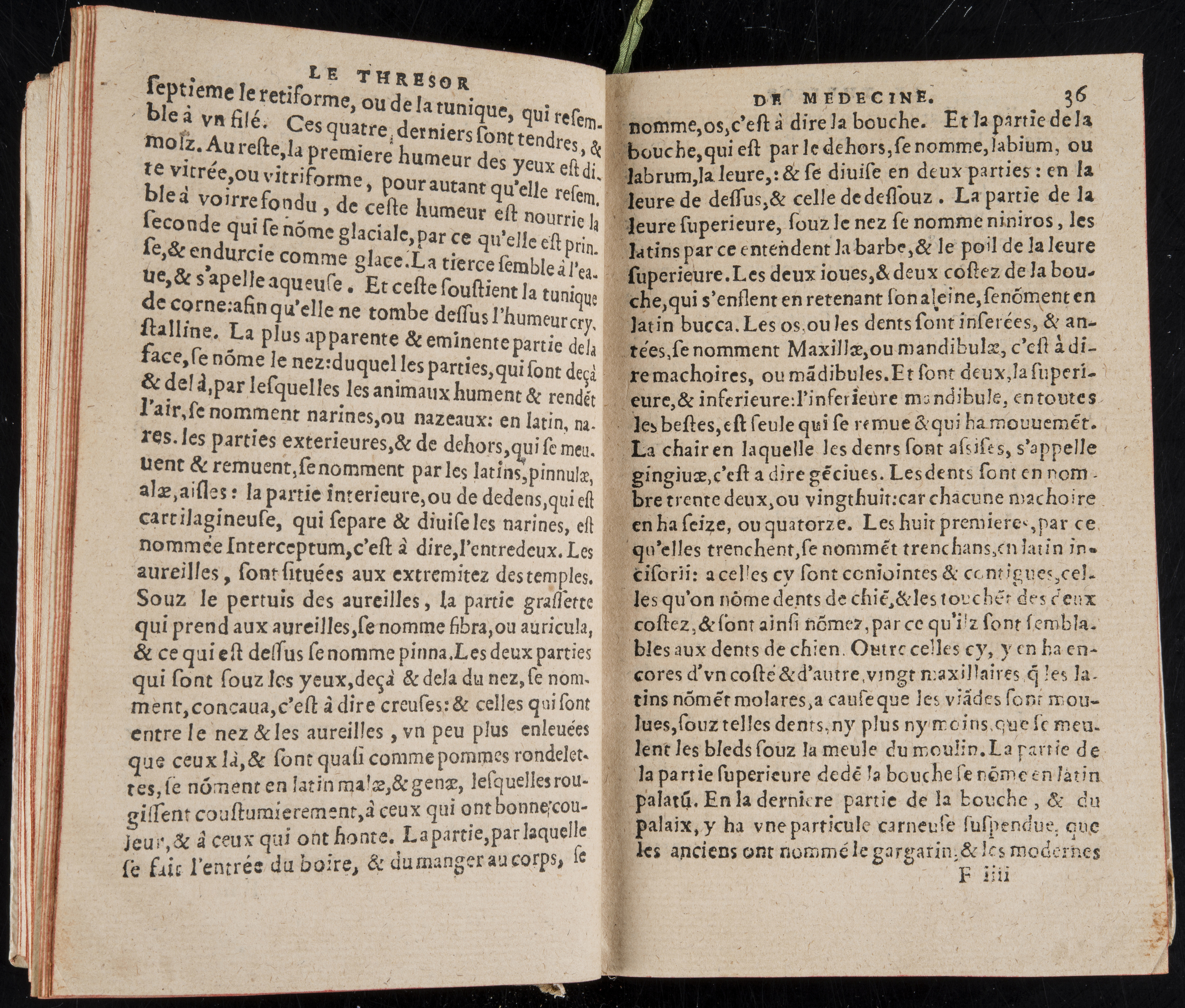 1560 - Nicolas Pelletier - Trésor de médecine - BM Poitiers