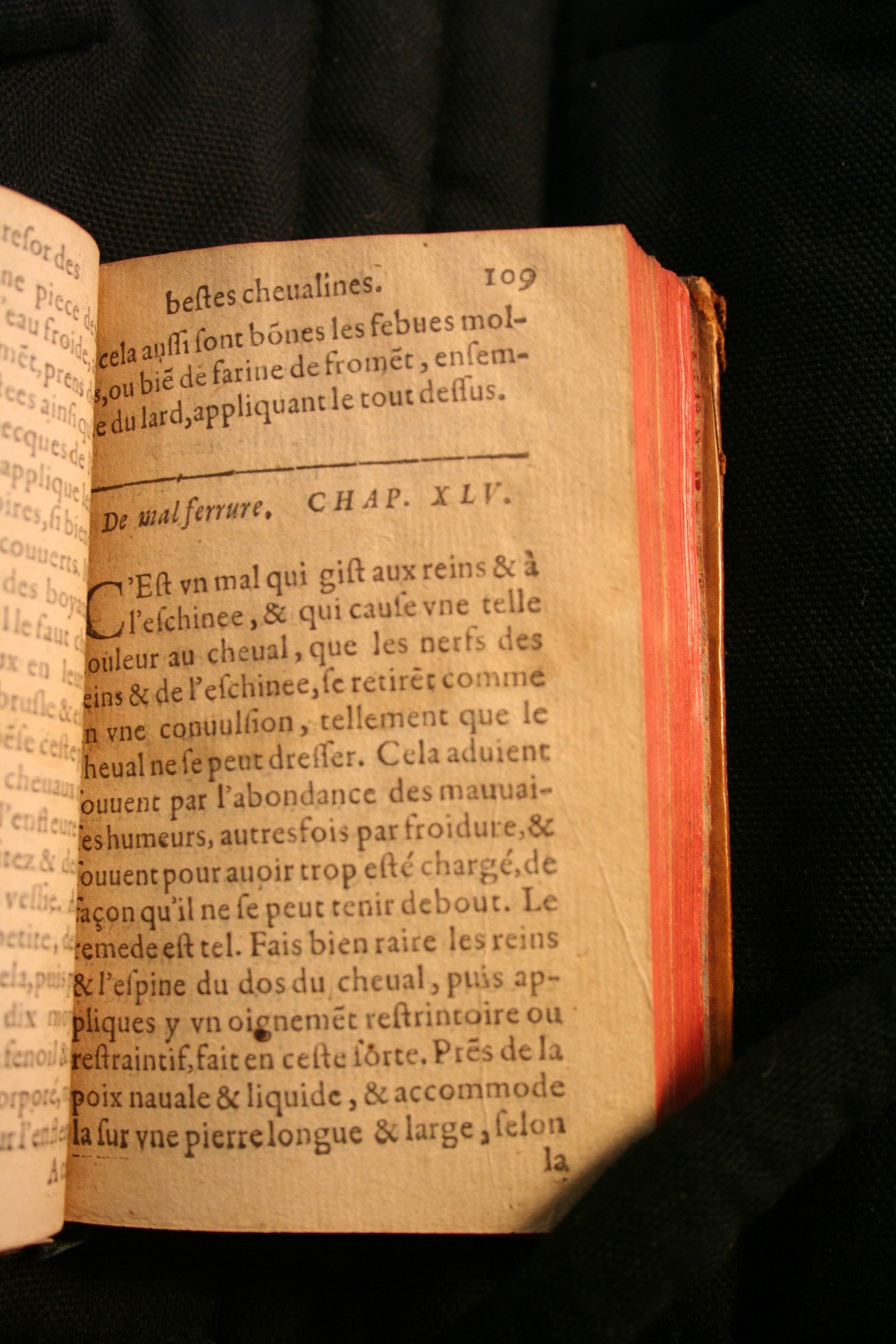 1591 - Pierre Chastaing et Benoît Rigaud - Trésor des bêtes chevalines - BM Bordeaux