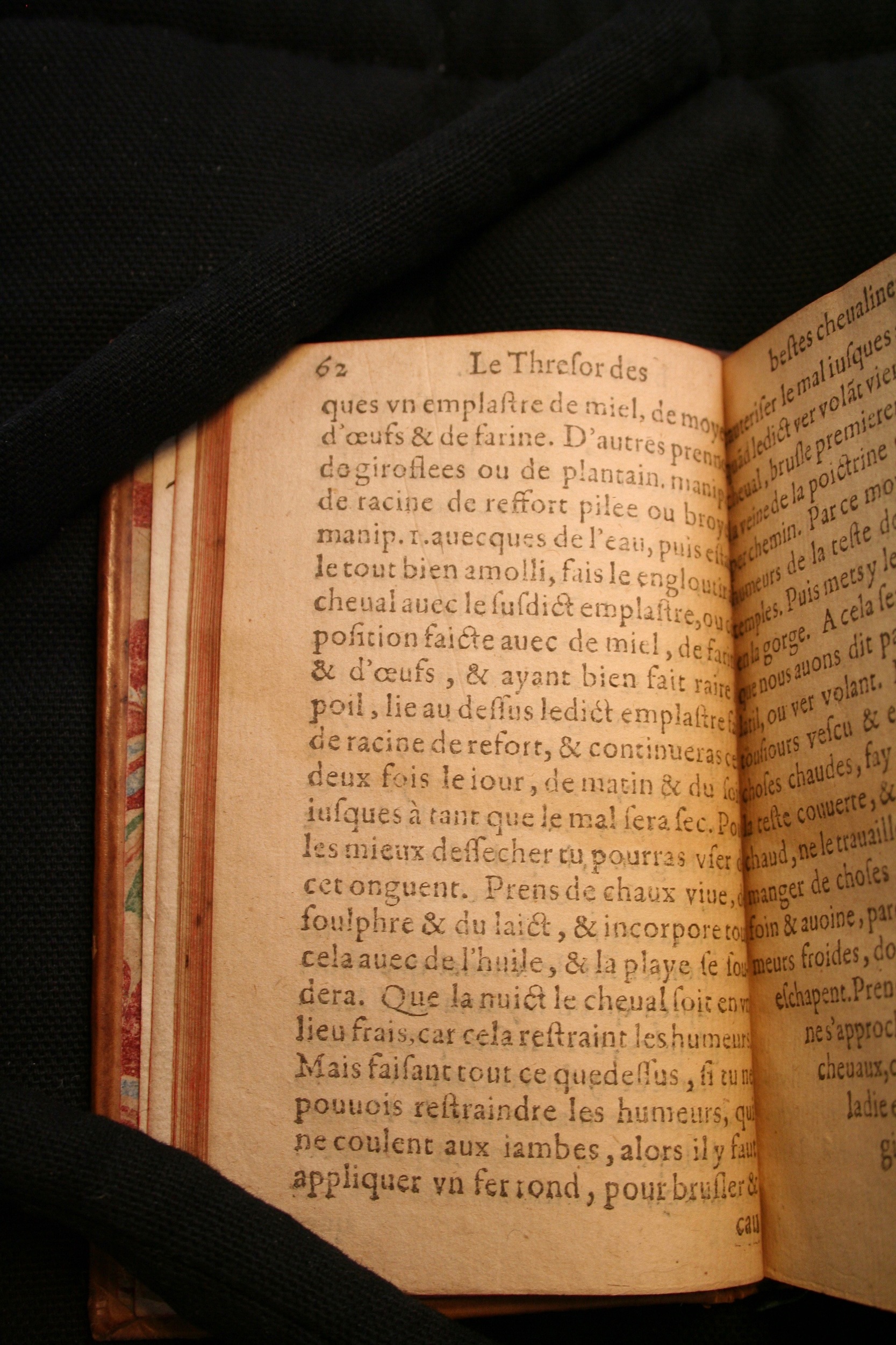 1591 - Pierre Chastaing et Benoît Rigaud - Trésor des bêtes chevalines - BM Bordeaux