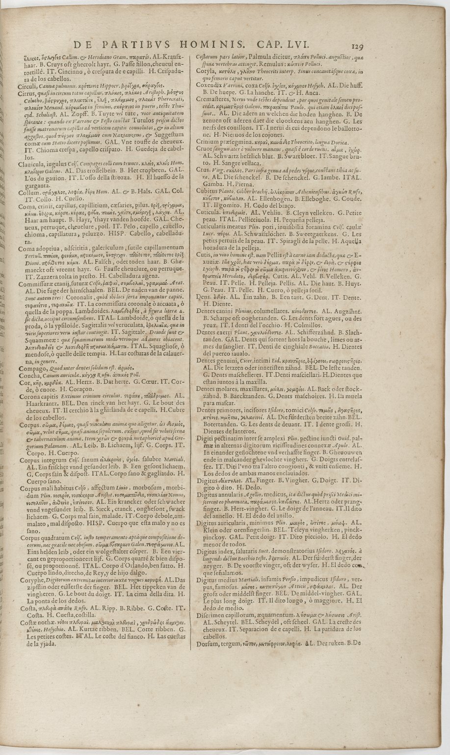 1606 - David Douceur - Trésor de la langue française - BnF