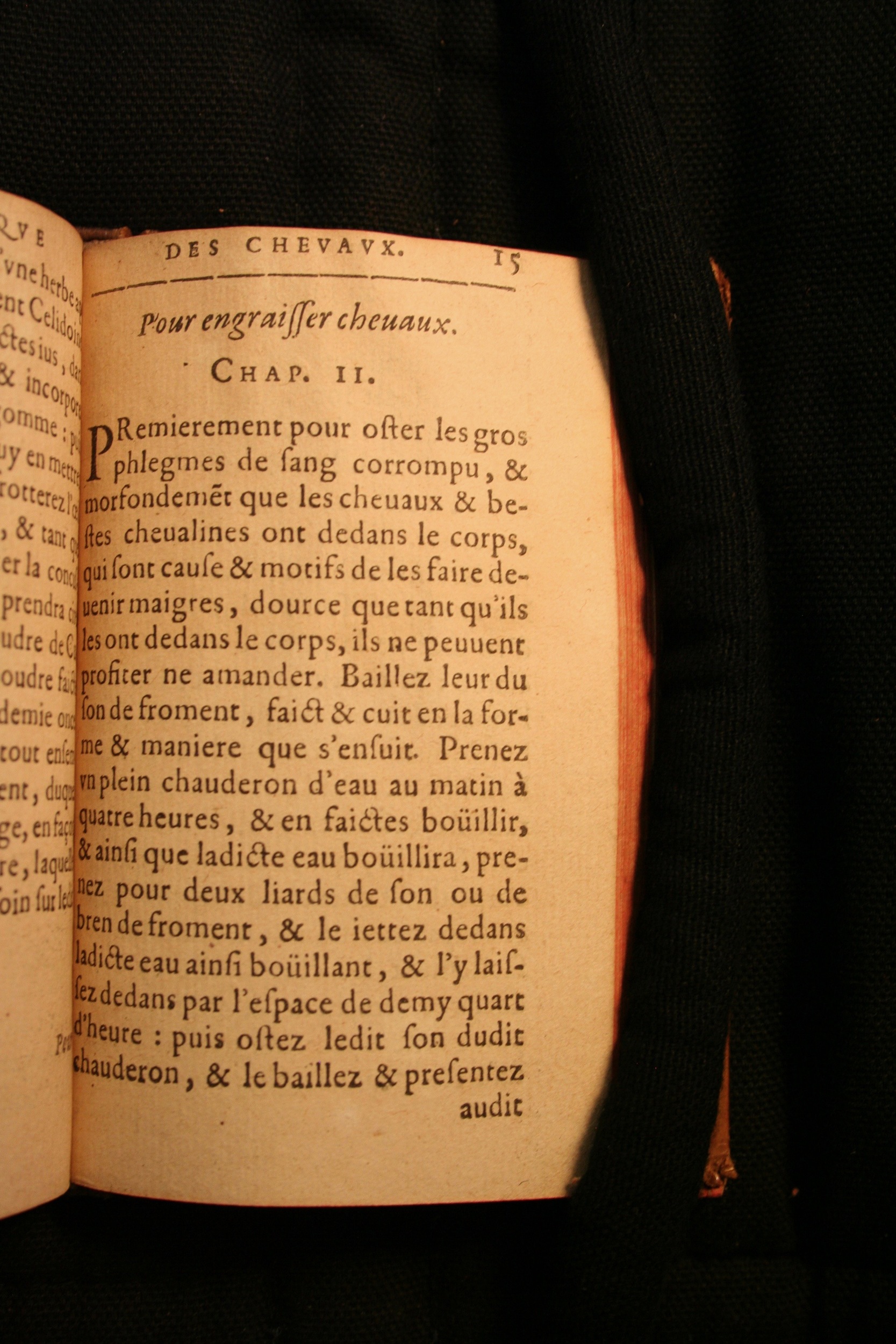 1591 - Pierre Chastaing et Benoît Rigaud - Trésor des bêtes chevalines - BM Bordeaux 1591 - Pierre Chastaing et Benoît Rigaud - Trésor des bêtes chevalines - BM Bordeaux