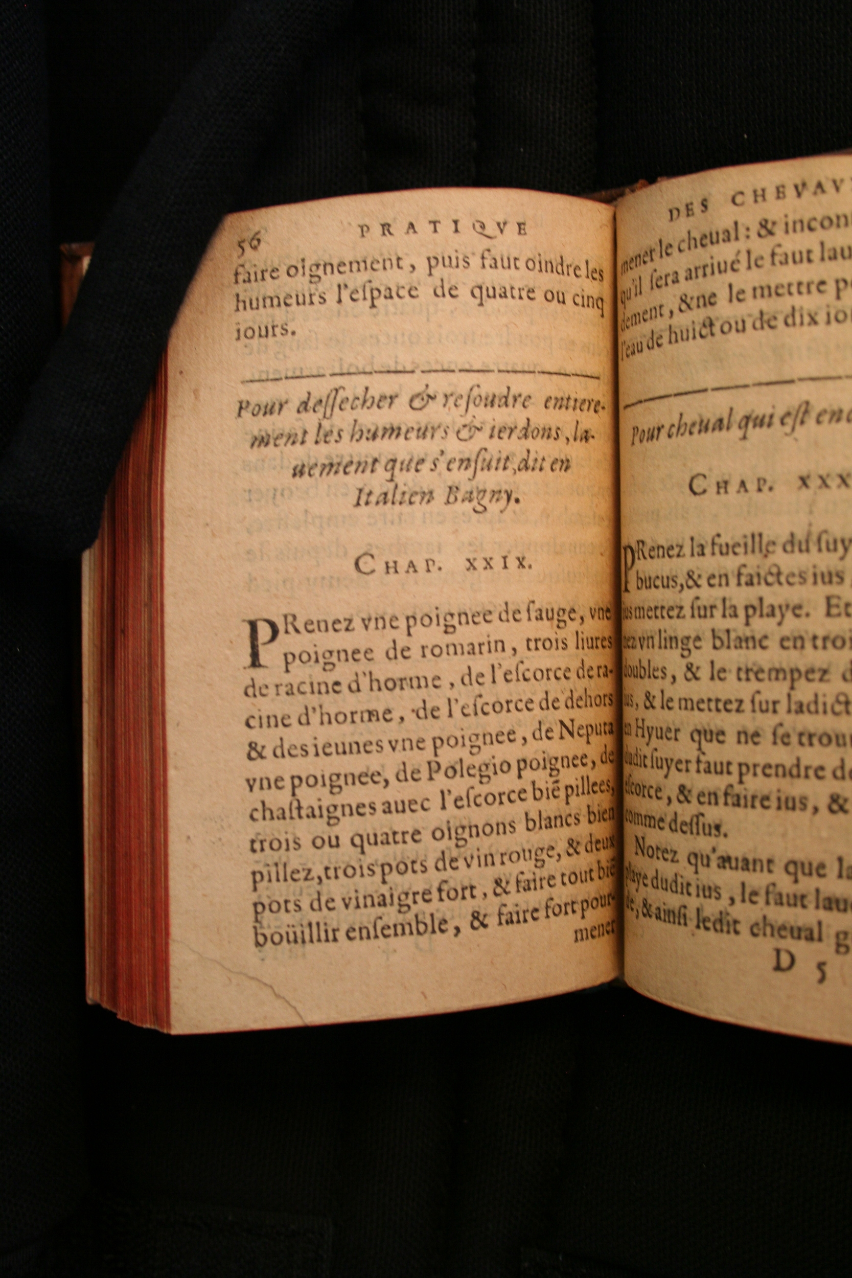 1591 - Pierre Chastaing et Benoît Rigaud - Trésor des bêtes chevalines - BM Bordeaux