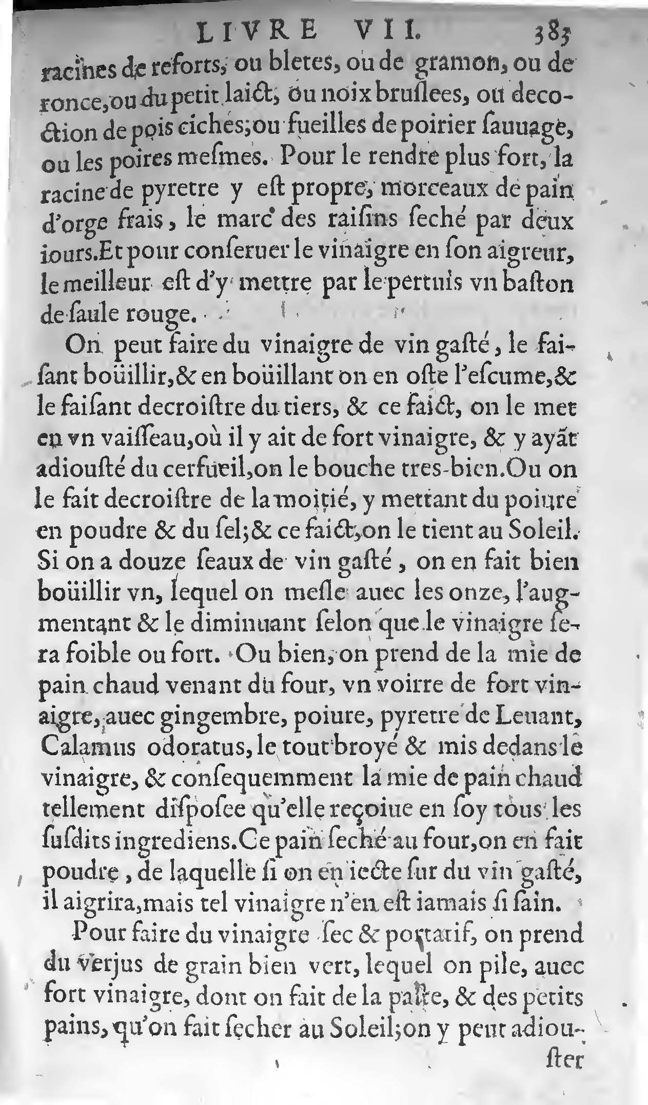 1607 - Étienne Servain et Jean Antoine Huguetan - Trésor de santé ou ménage de la vie humaine - BIU Santé