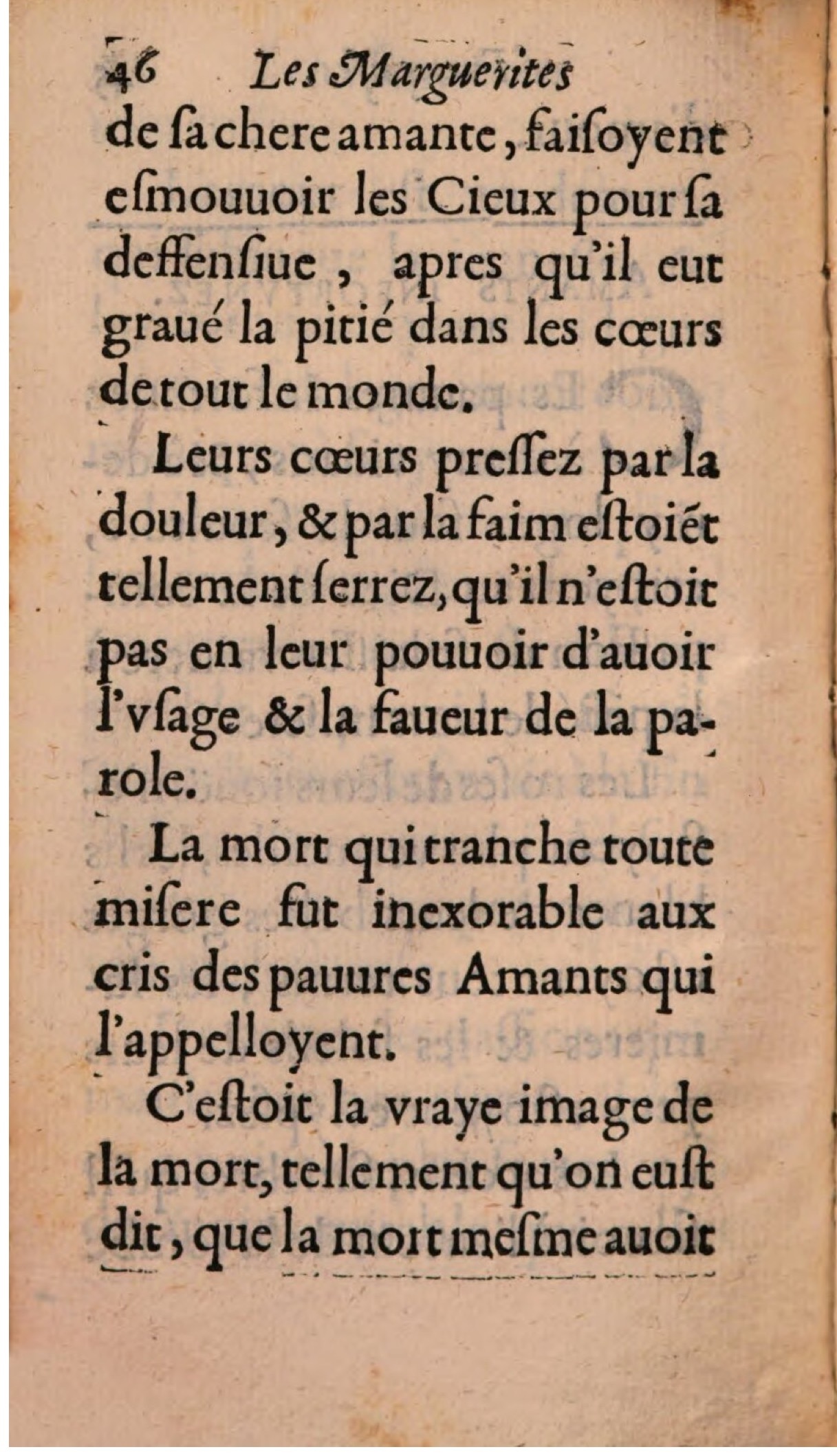 1608 - Théodore Reinsart - Les Marguerites françaises ou Trésor des Fleurs du bien-dire - BSB Munich 1608 - Théodore Reinsart - Les Marguerites françaises ou Trésor des Fleurs du bien-dire - BSB Munich