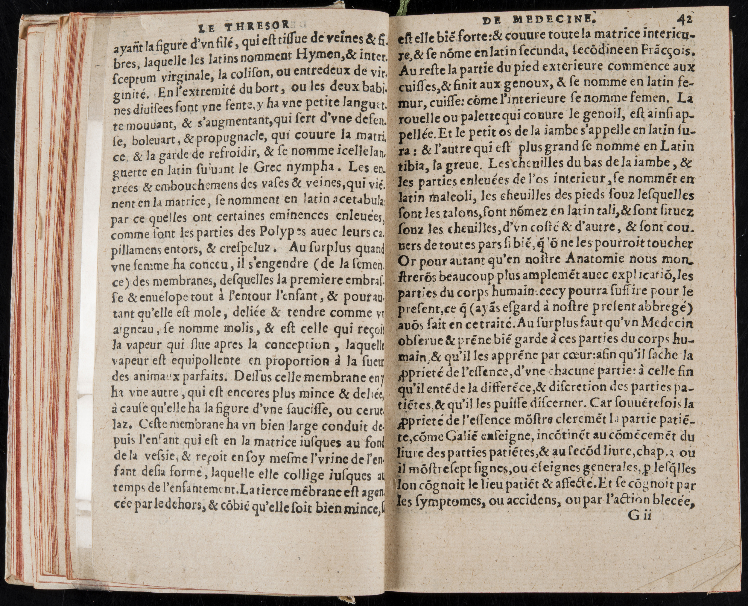1560 - Nicolas Pelletier - Trésor de médecine - BM Poitiers