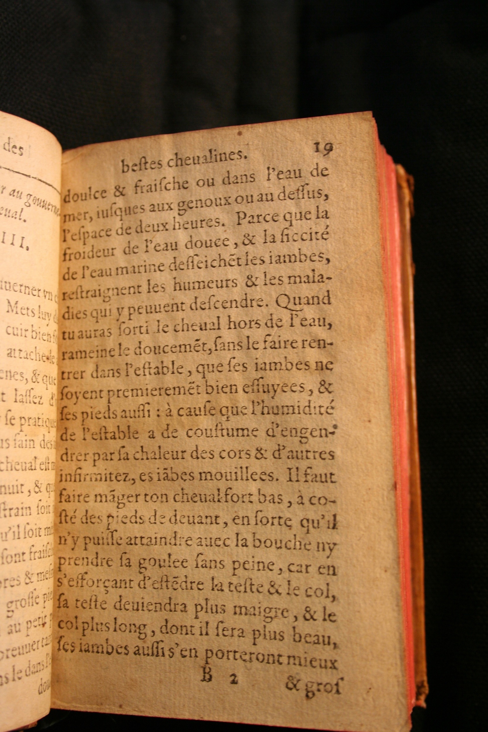 1591 - Pierre Chastaing et Benoît Rigaud - Trésor des bêtes chevalines - BM Bordeaux