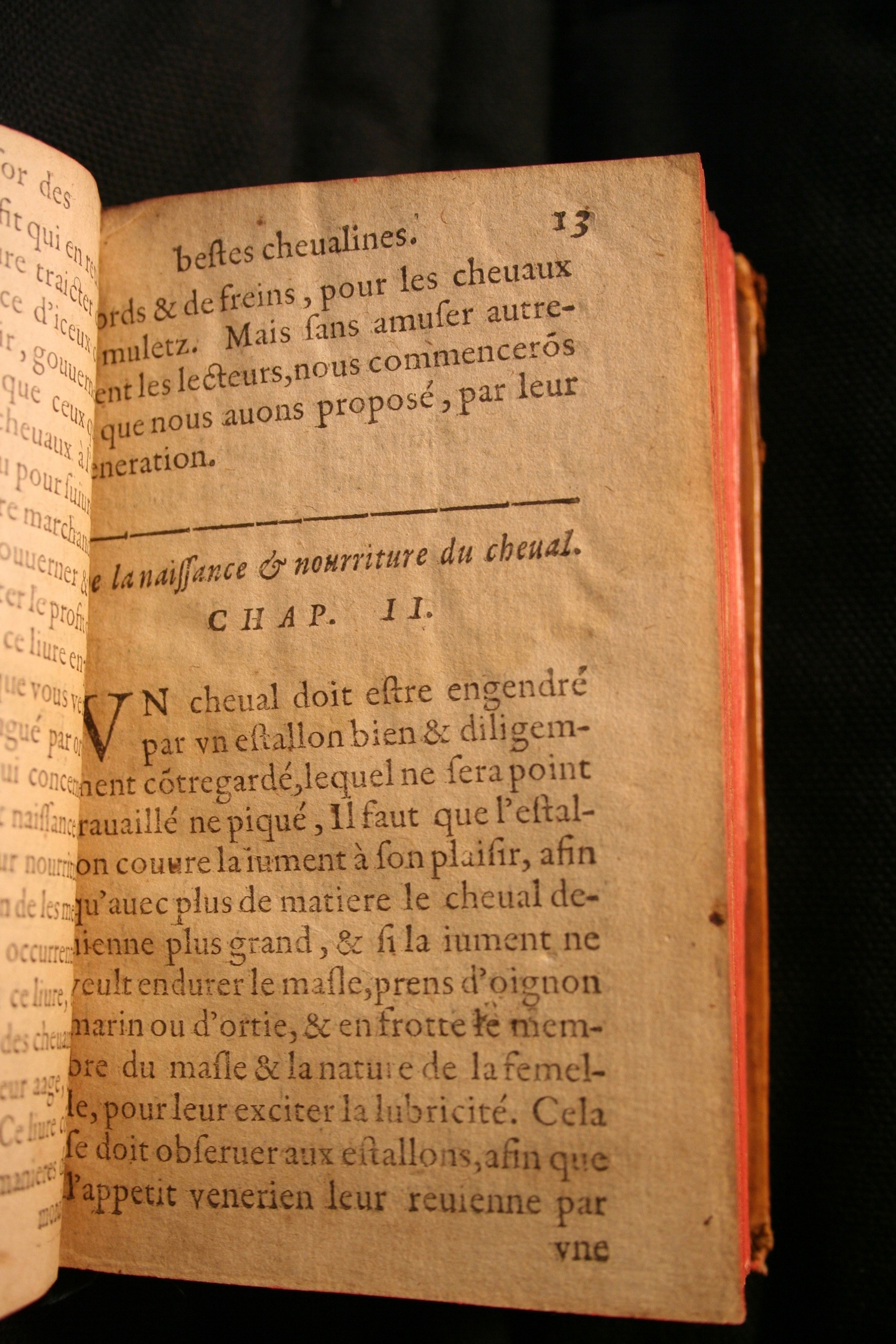 1591 - Pierre Chastaing et Benoît Rigaud - Trésor des bêtes chevalines - BM Bordeaux