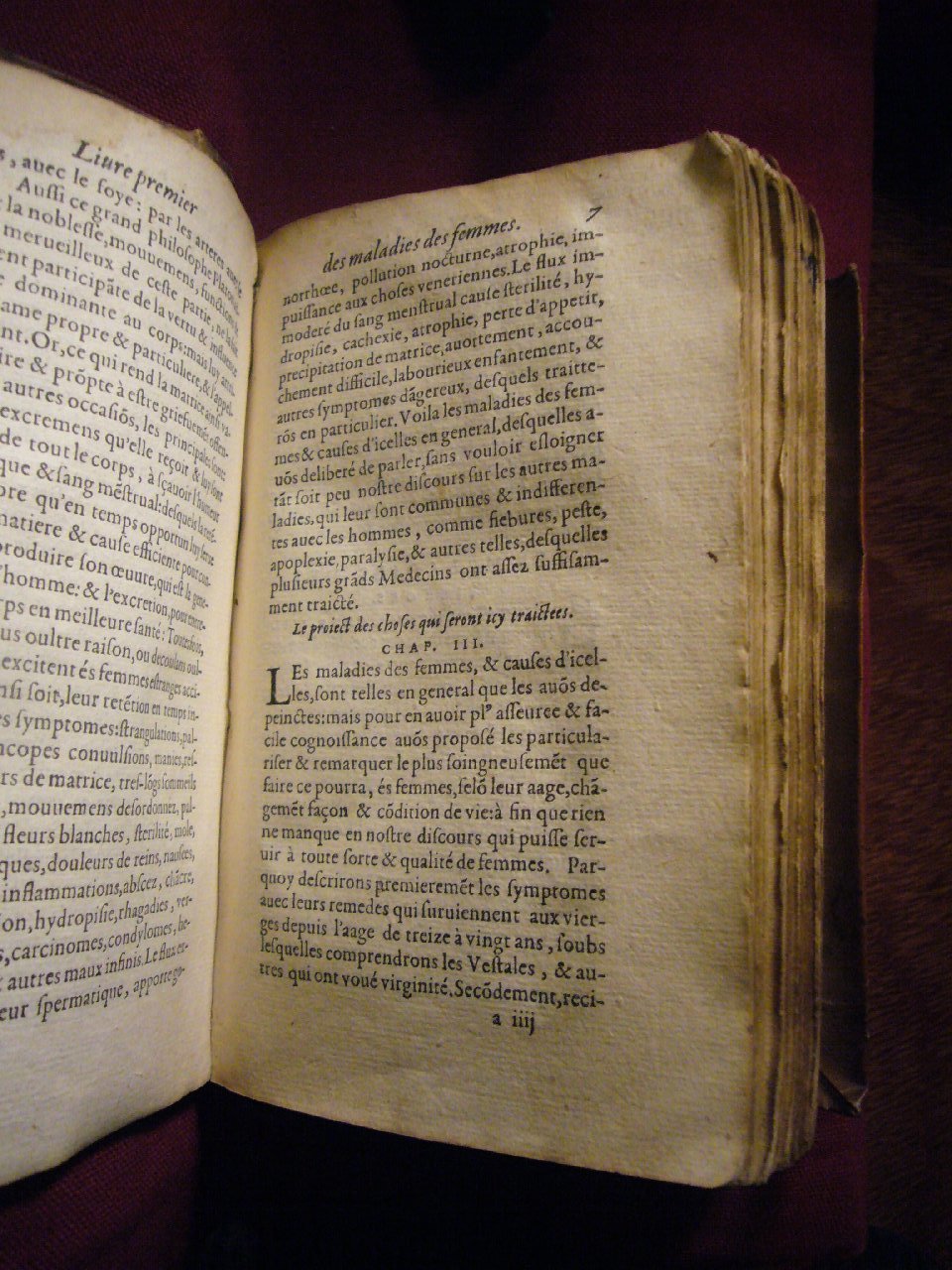 1585 - Jacques du Puis - Trésor des remèdes secrets pour les maladies des femmes - BnF
