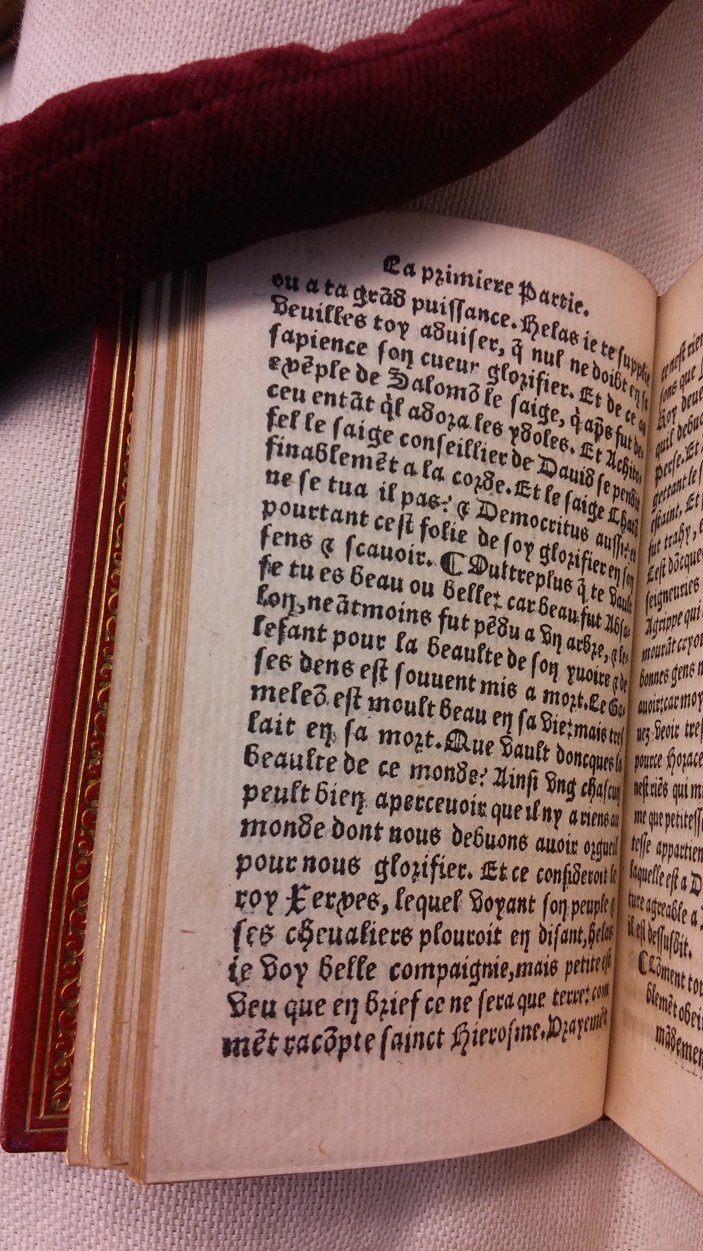 1542 - Denis de Harsy - Trésor de sapience et fleur de toute bonté - BIS