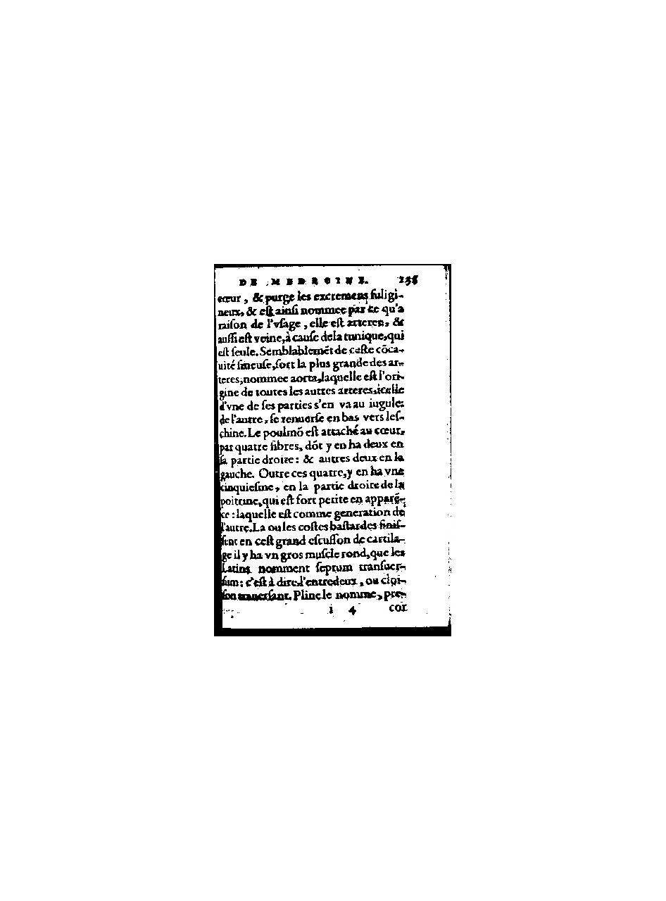 1578 - Benoît Rigaud - Trésor de médecine tant théorique que pratique - BnF