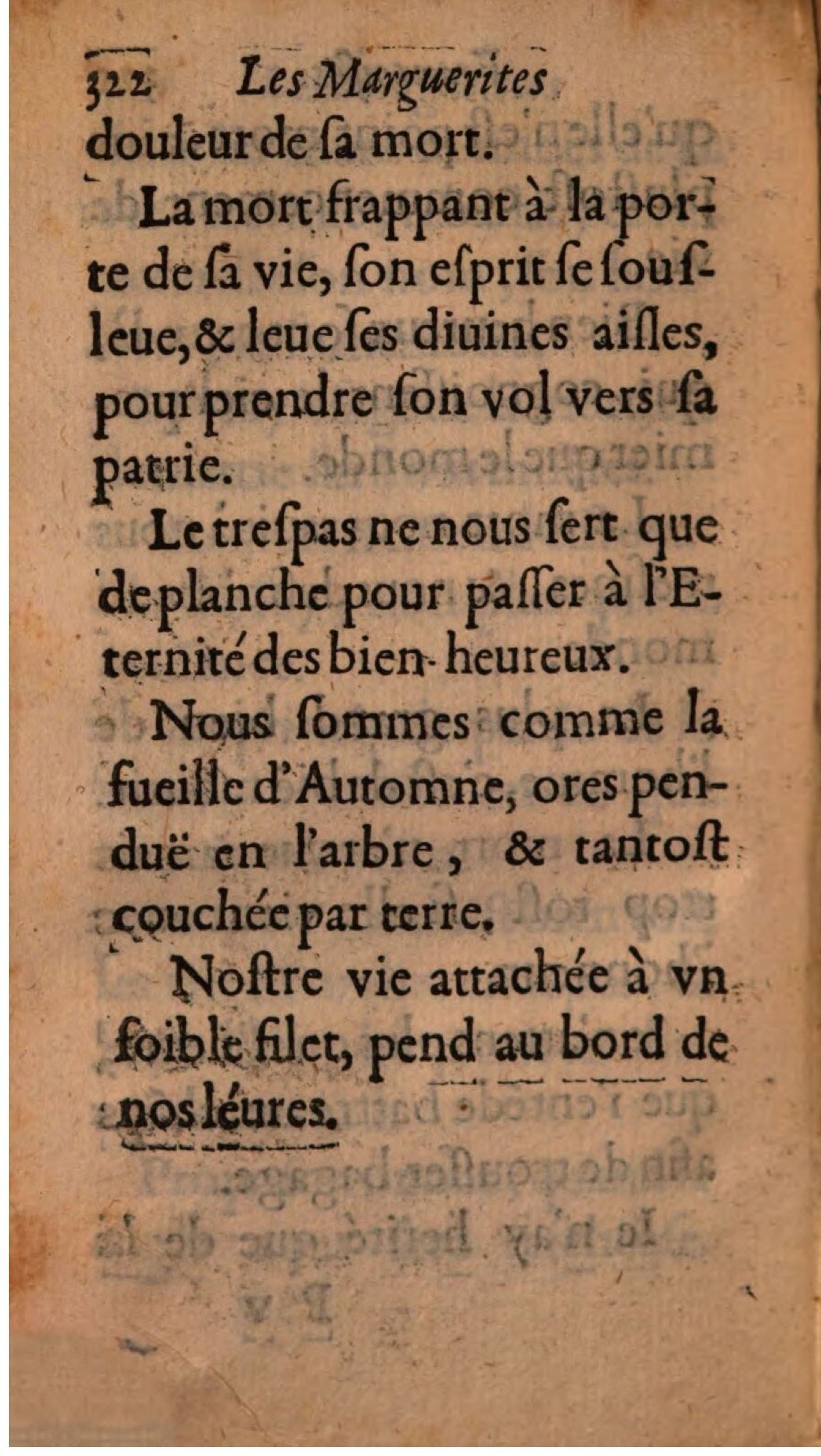 1608 - Théodore Reinsart - Les Marguerites françaises ou Trésor des Fleurs du bien-dire - BSB Munich