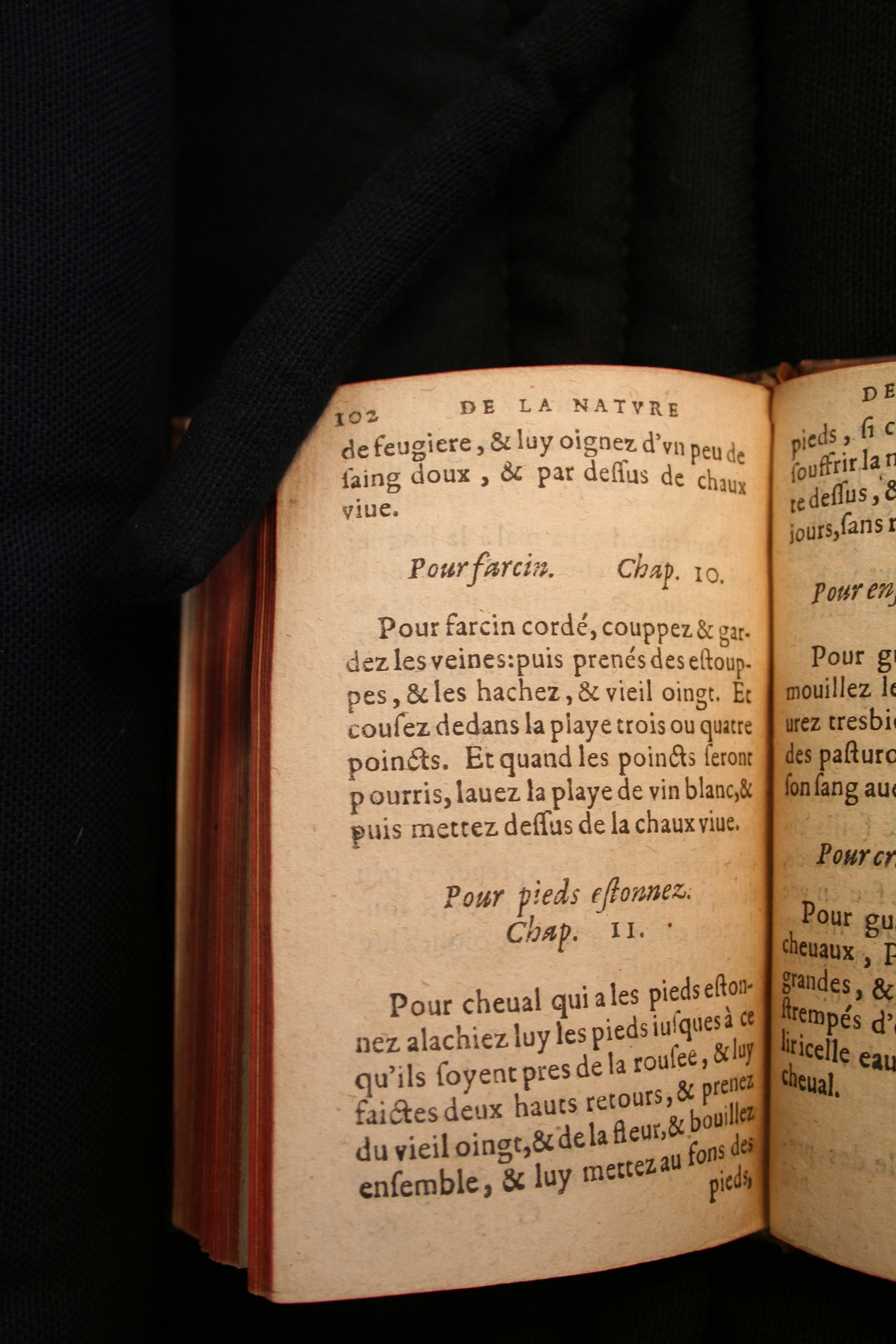 1591 - Pierre Chastaing et Benoît Rigaud - Trésor des bêtes chevalines - BM Bordeaux