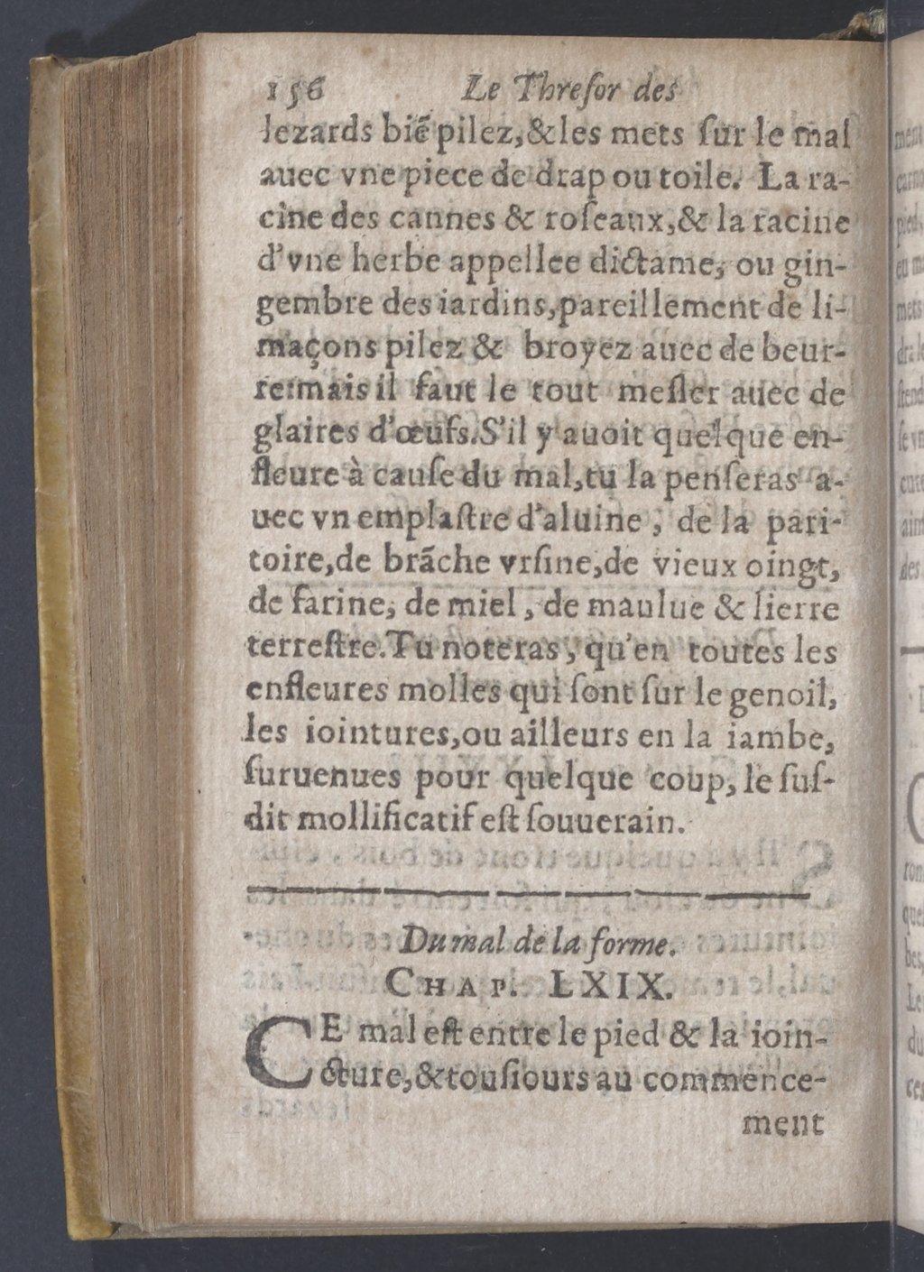 1619 - Pierre Rigaud - Trésor des bêtes chevalines - BnF 1619 - Pierre Rigaud - Trésor des bêtes chevalines - BnF