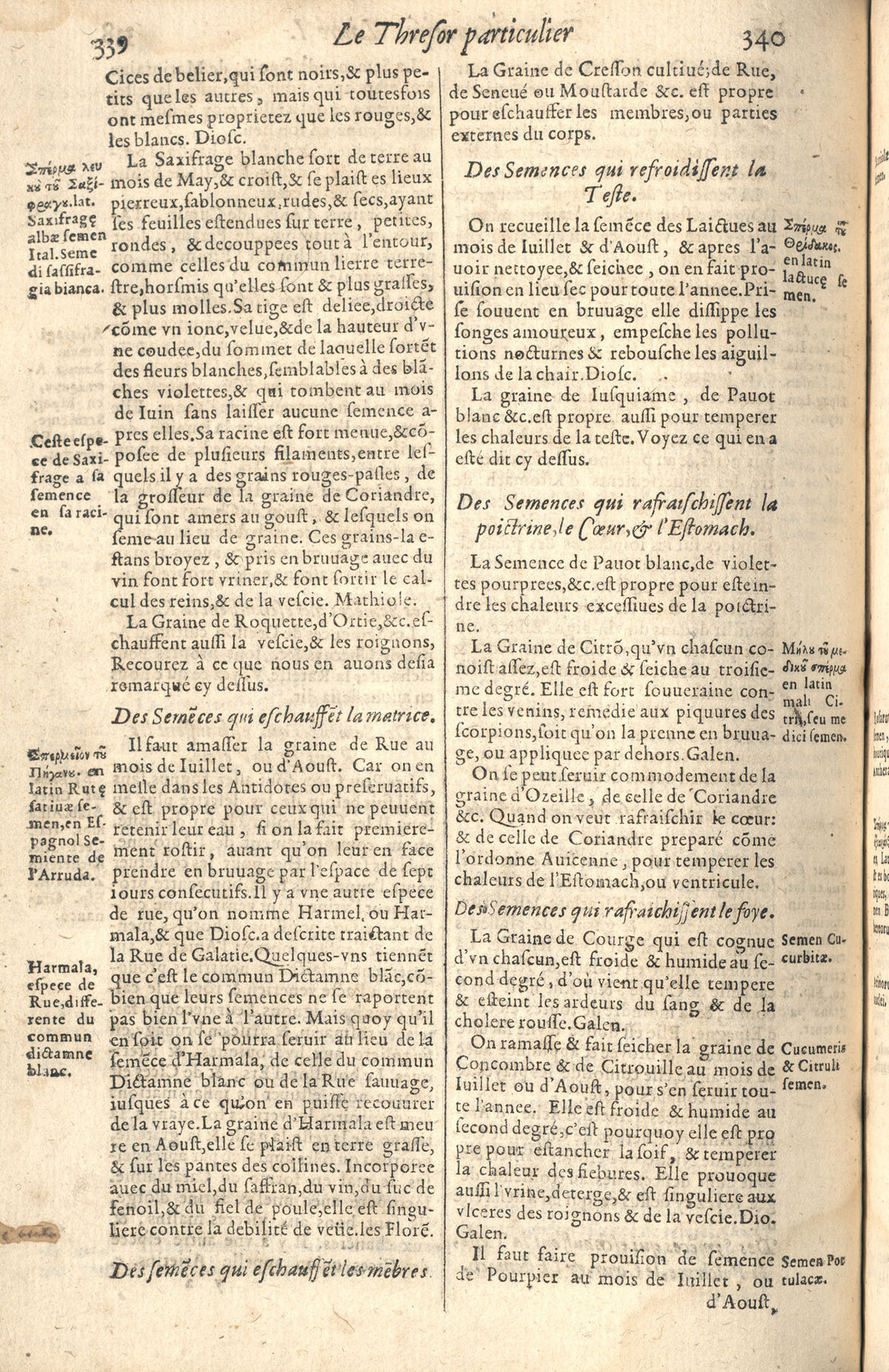 1610 - Étienne Gamonet - Grand Trésor ou dispensaire - CESR Tours