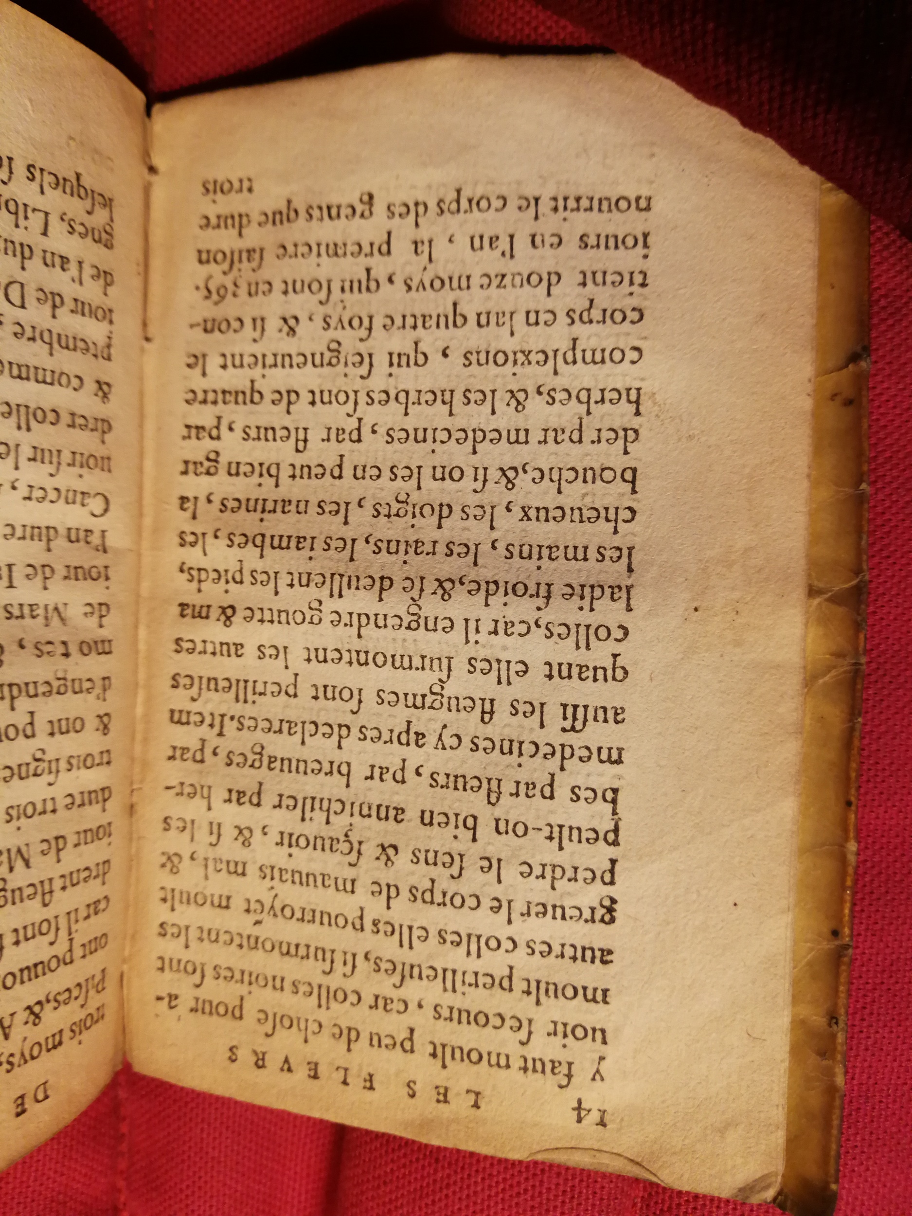 1586 - Benoît Rigaud - Trésor des fleurs et secrets de médecine - Sainte-Geneviève