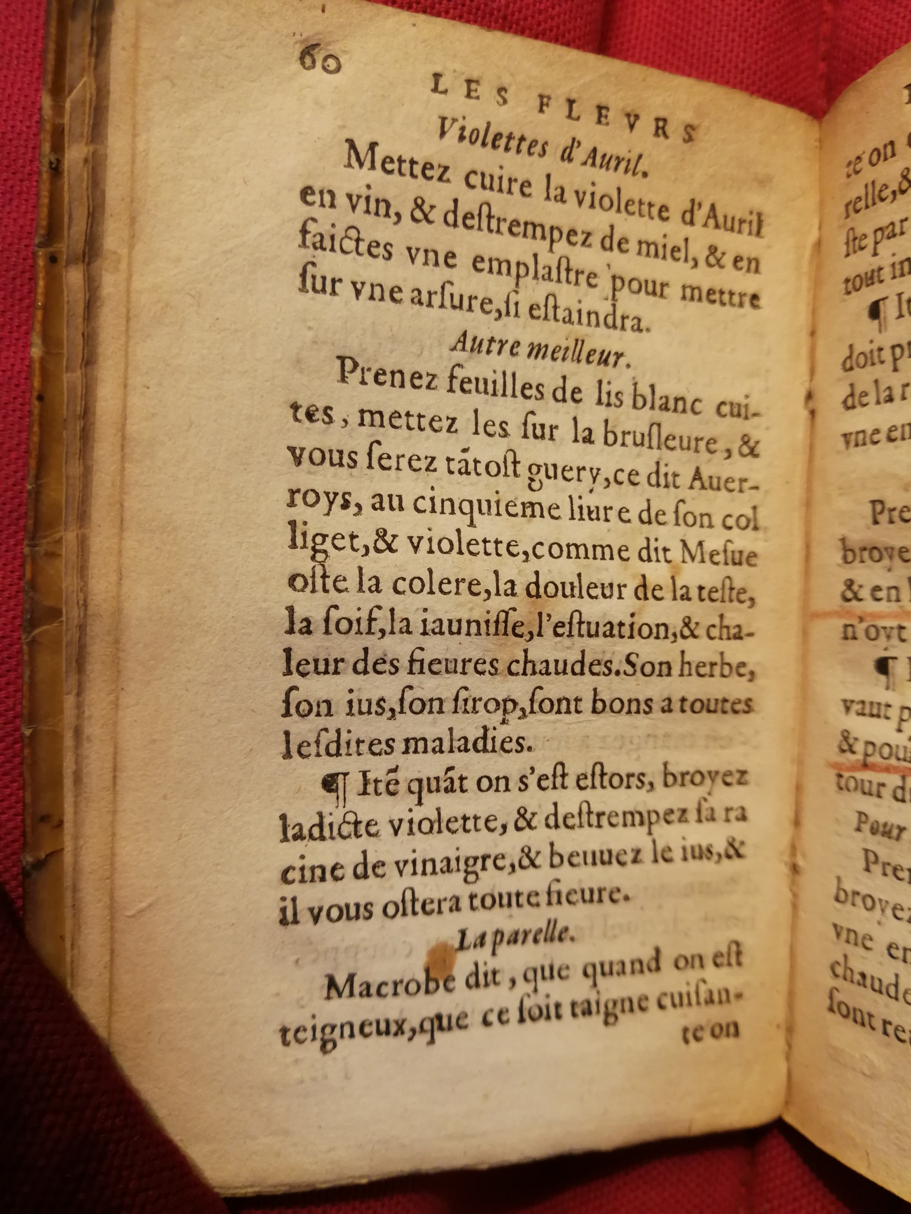 1586 - Benoît Rigaud - Trésor des fleurs et secrets de médecine - Sainte-Geneviève