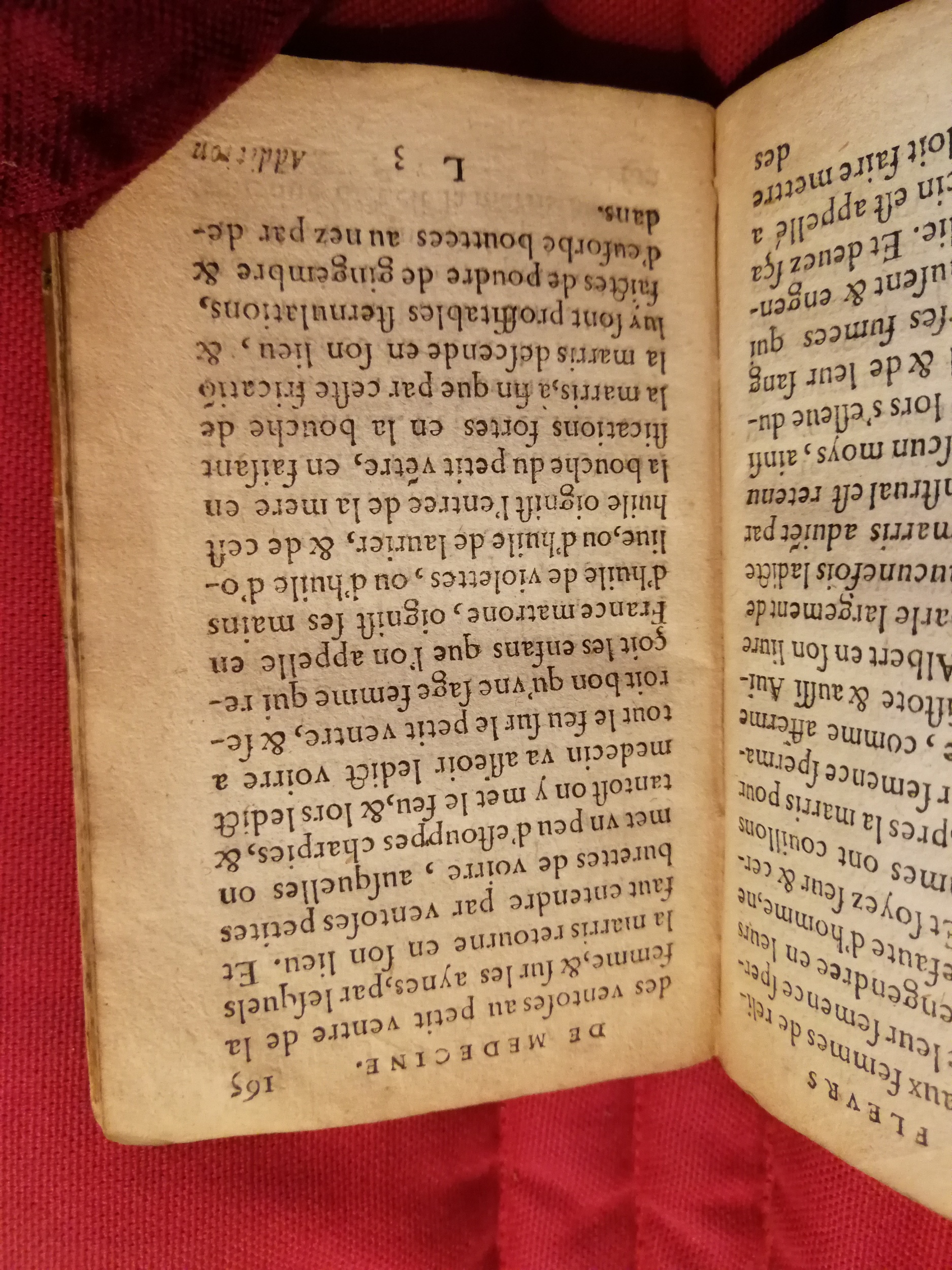 1586 - Benoît Rigaud - Trésor des fleurs et secrets de médecine - Sainte-Geneviève