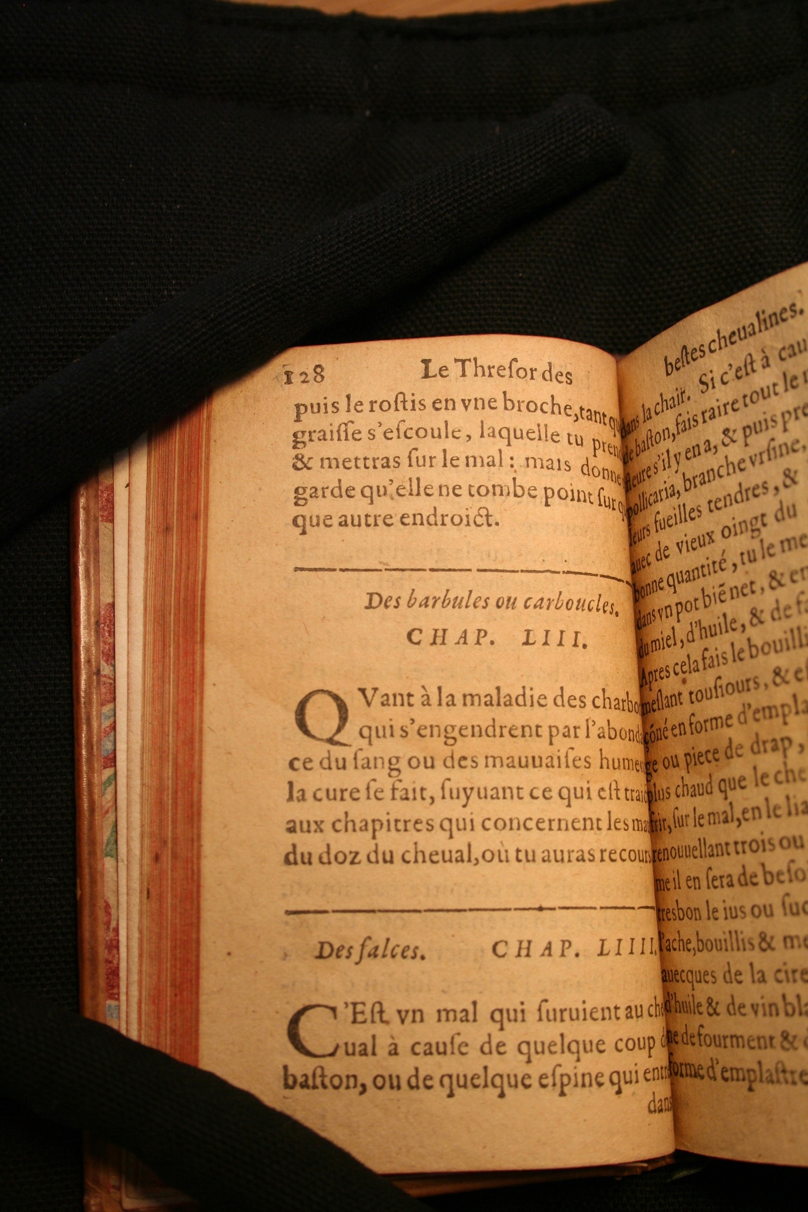 1591 - Pierre Chastaing et Benoît Rigaud - Trésor des bêtes chevalines - BM Bordeaux