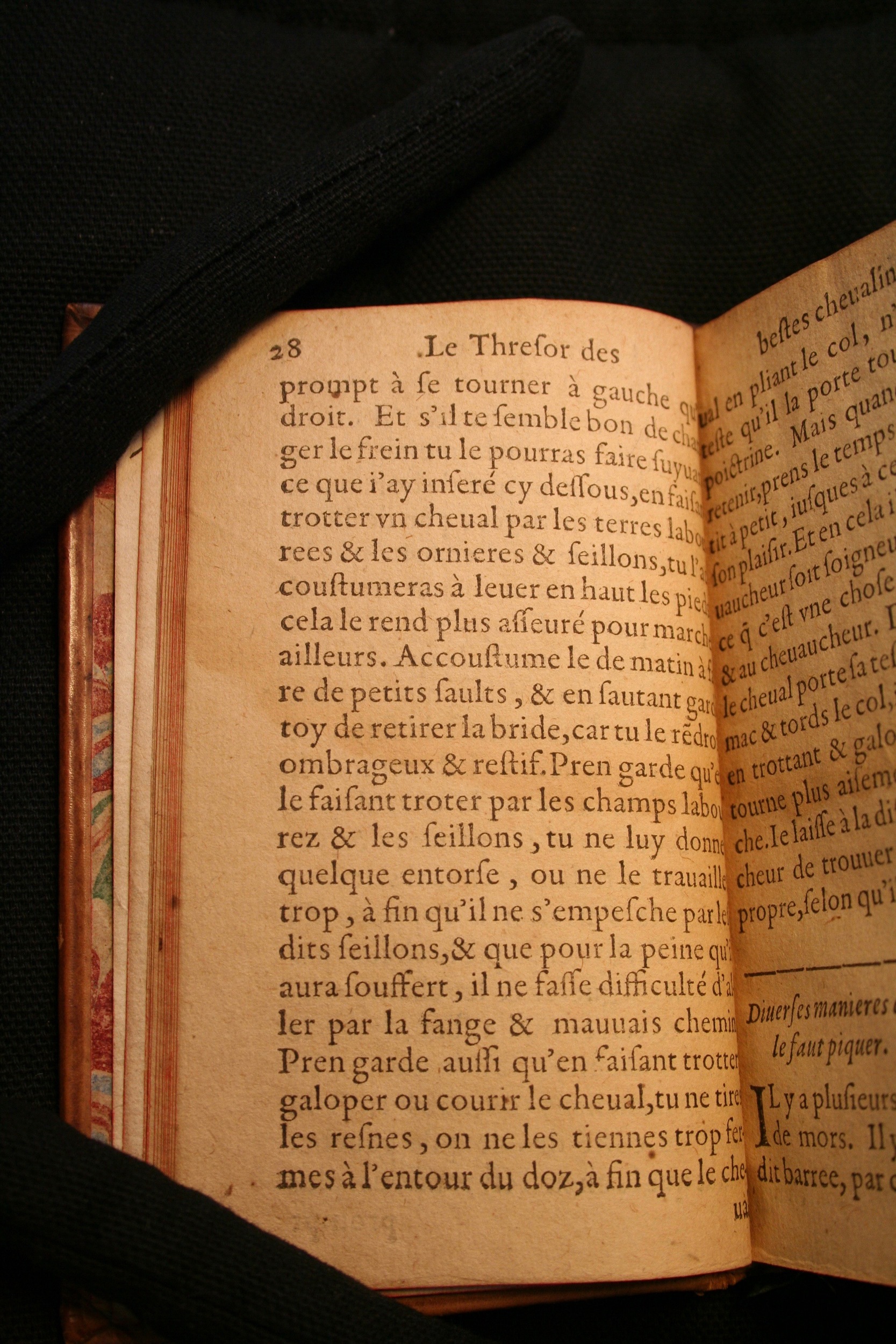 1591 - Pierre Chastaing et Benoît Rigaud - Trésor des bêtes chevalines - BM Bordeaux