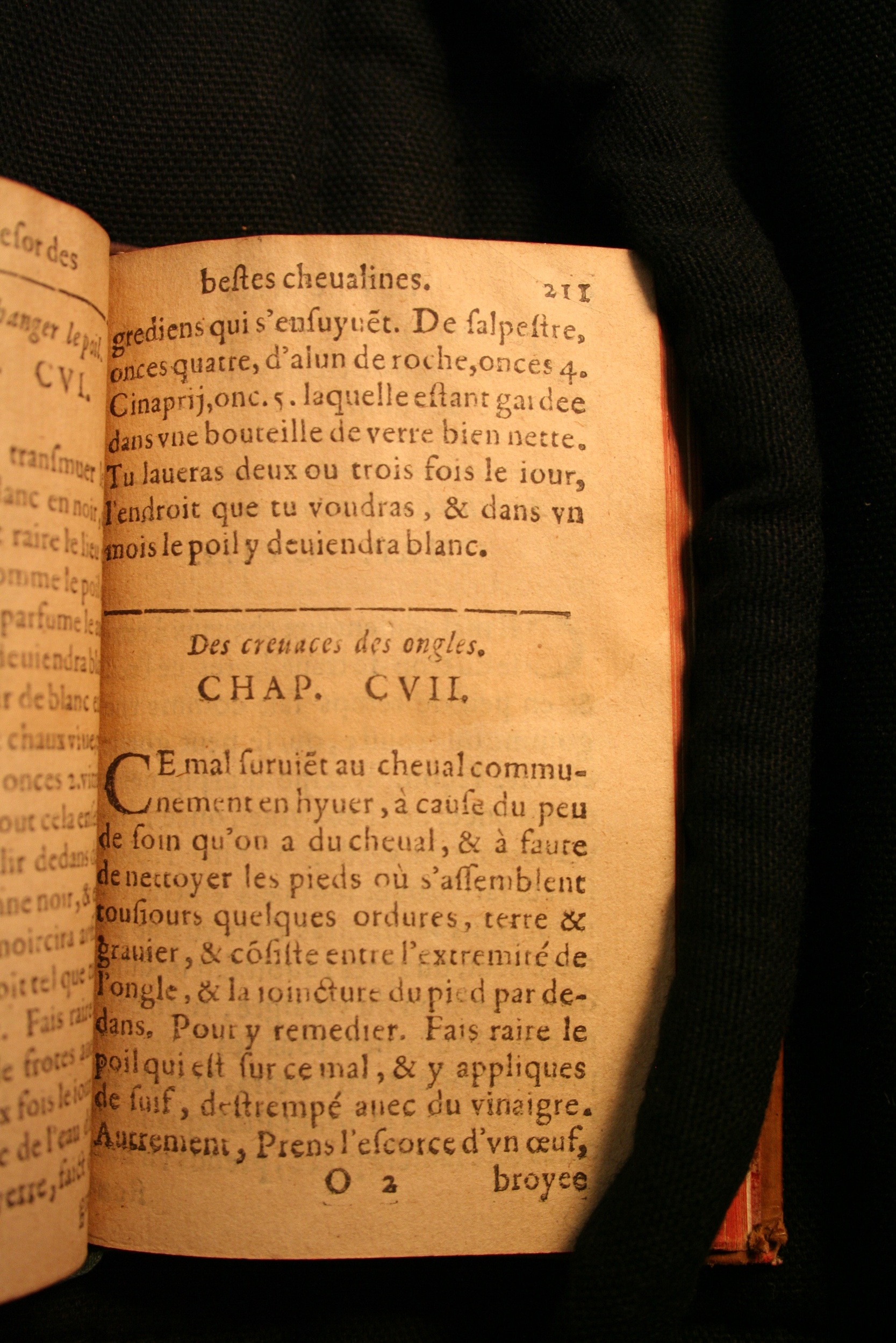 1591 - Pierre Chastaing et Benoît Rigaud - Trésor des bêtes chevalines - BM Bordeaux