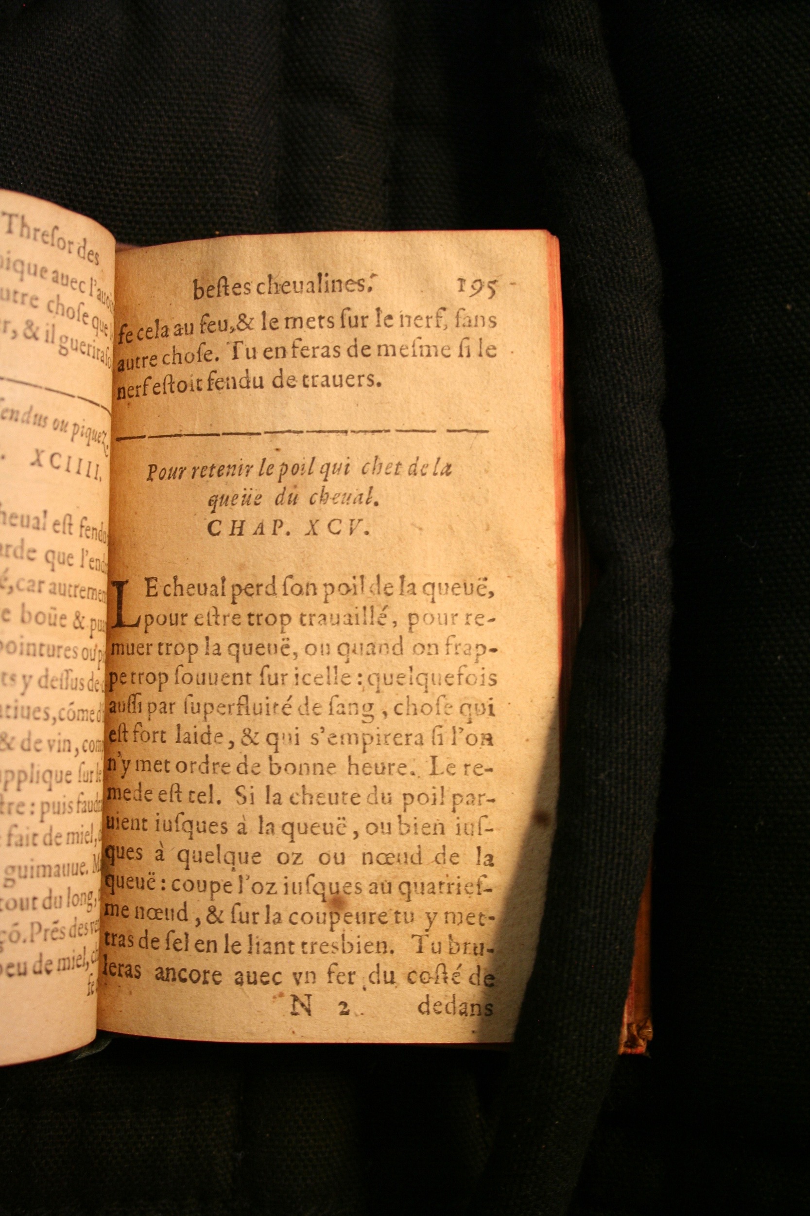 1591 - Pierre Chastaing et Benoît Rigaud - Trésor des bêtes chevalines - BM Bordeaux