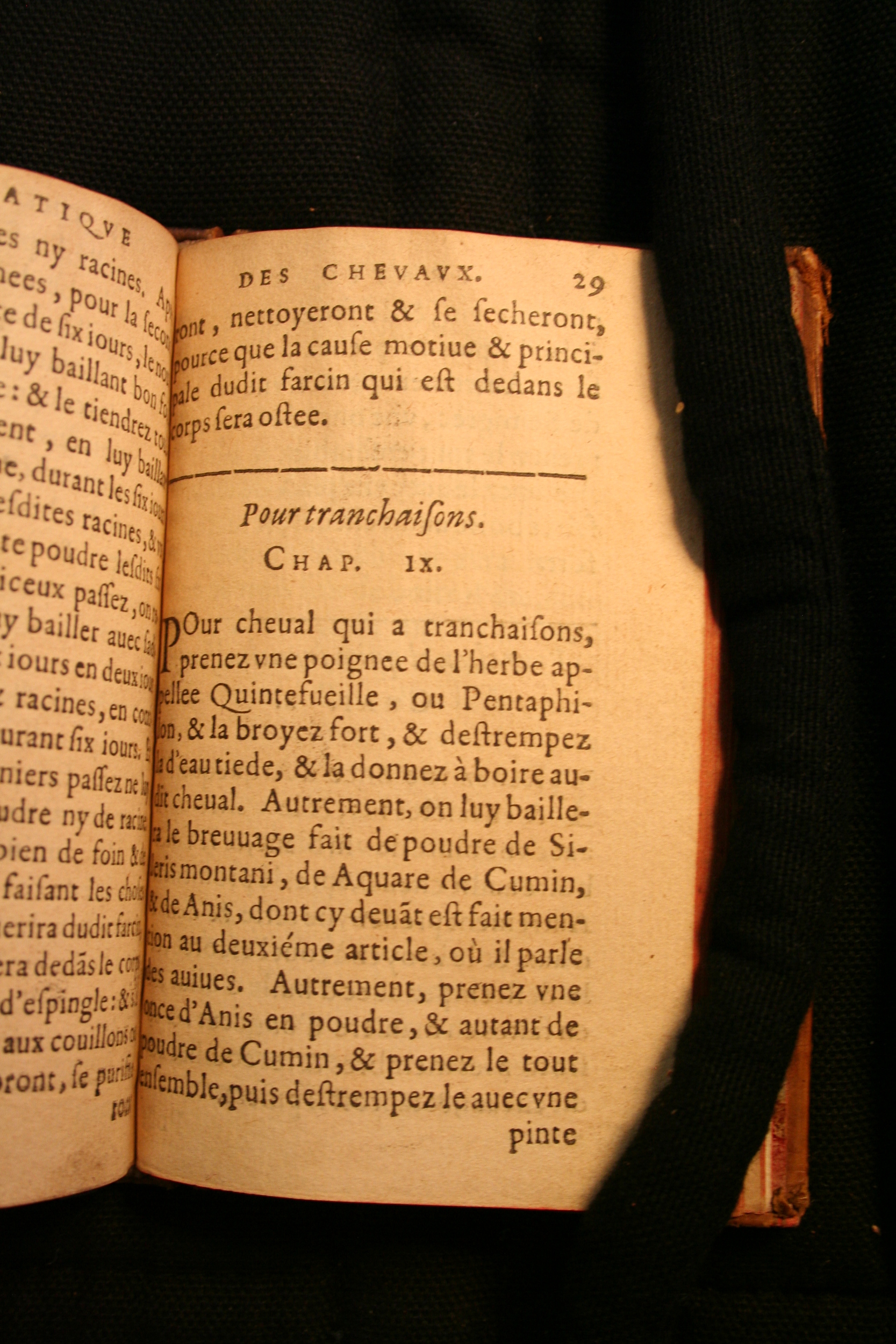 1591 - Pierre Chastaing et Benoît Rigaud - Trésor des bêtes chevalines - BM Bordeaux