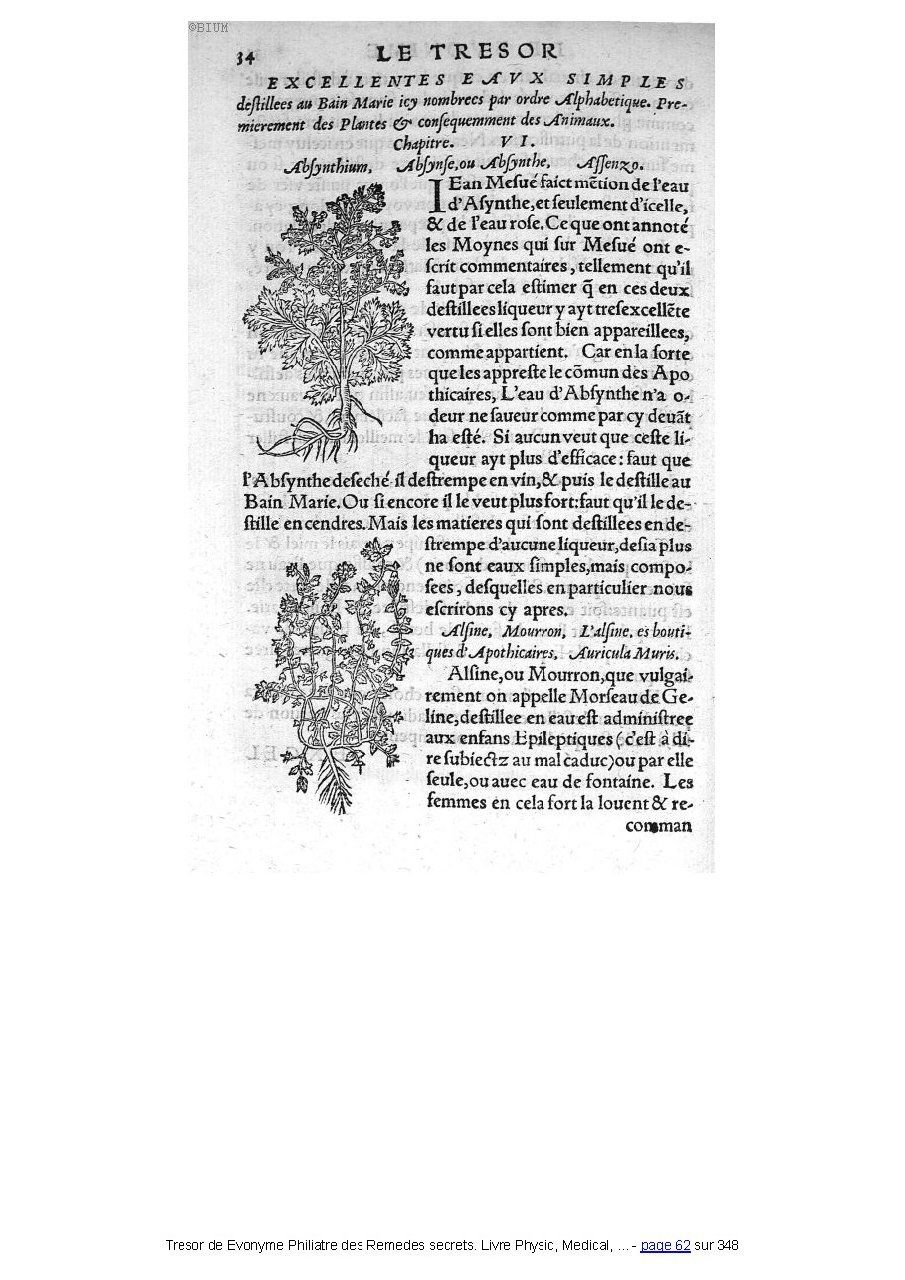 1555 Tresor de Evonime Philiatre Arnoullet 1_Page_062.jpg