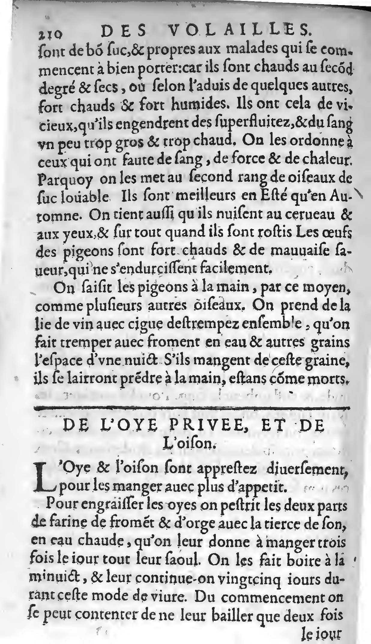 1607 - Étienne Servain et Jean Antoine Huguetan - Trésor de santé ou ménage de la vie humaine - BIU Santé