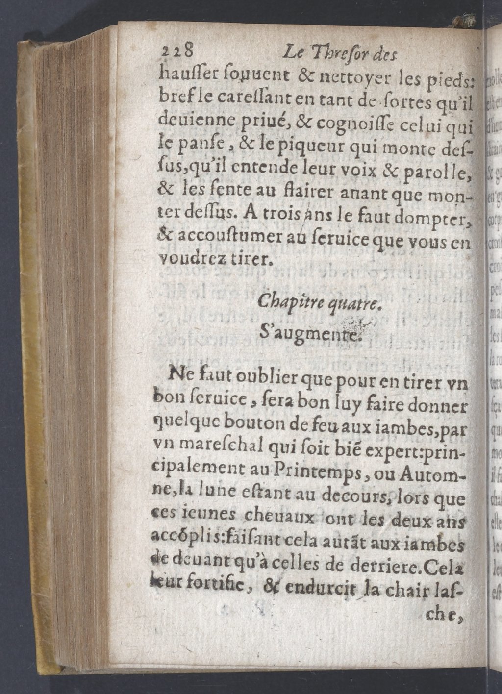 1619 - Pierre Rigaud - Trésor des bêtes chevalines - BnF