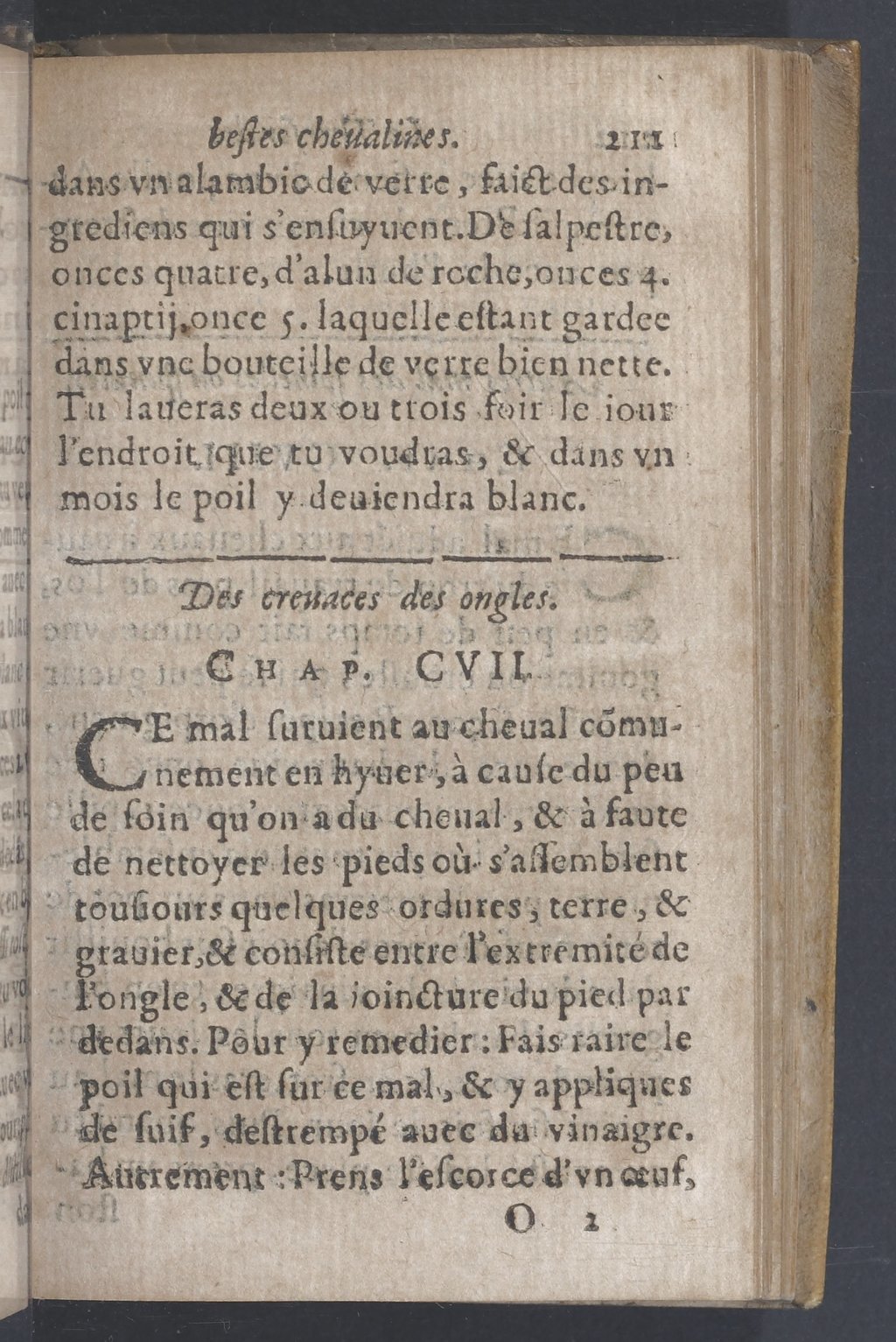 1619 - Pierre Rigaud - Trésor des bêtes chevalines - BnF 1619 - Pierre Rigaud - Trésor des bêtes chevalines - BnF