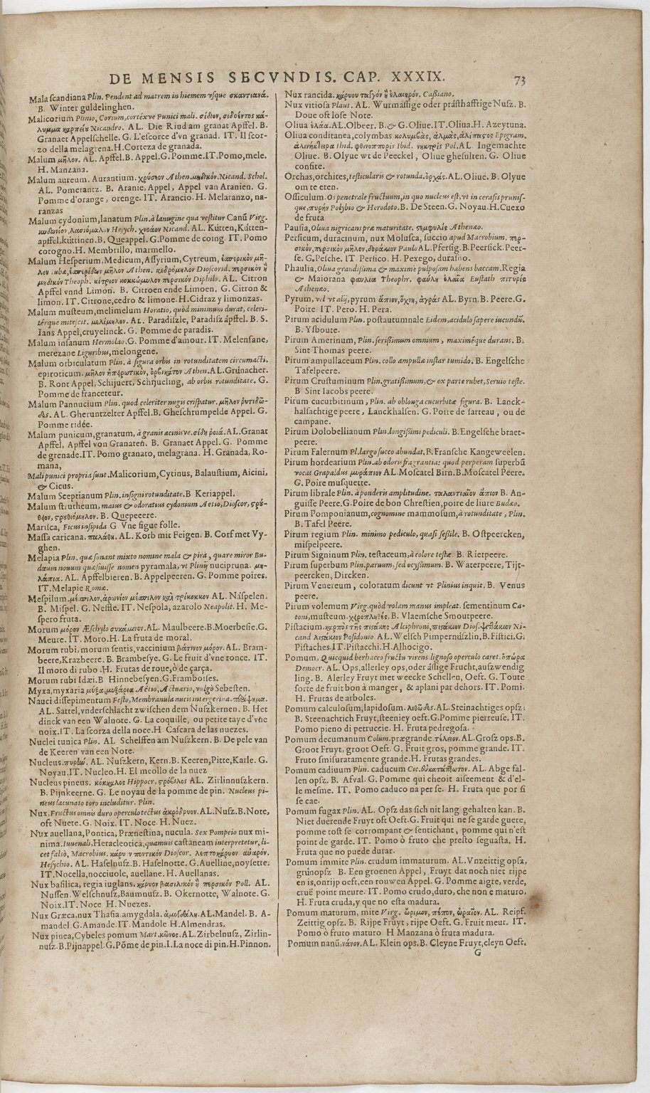 1606 - David Douceur - Trésor de la langue française - BnF