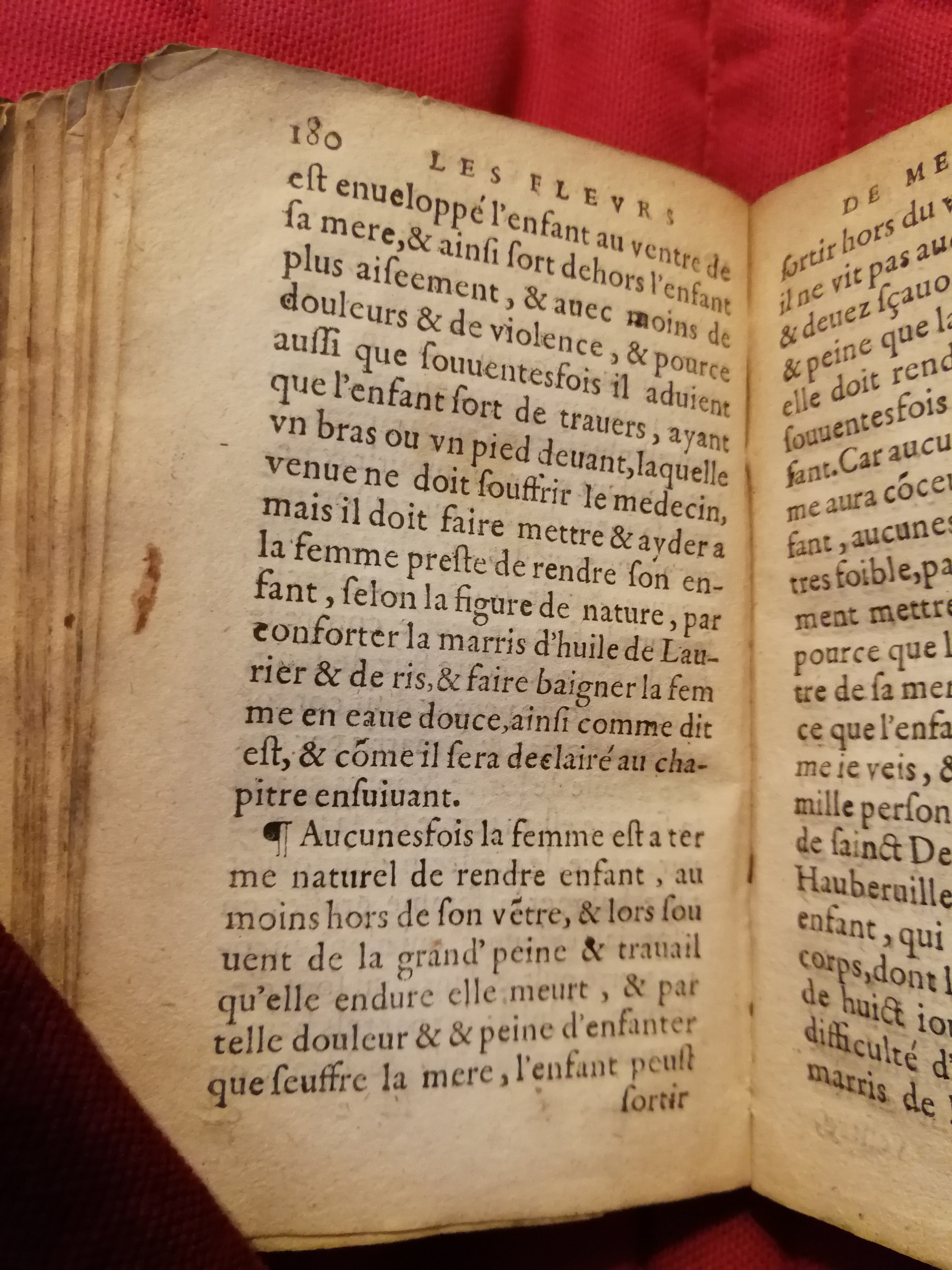 1586 - Benoît Rigaud - Trésor des fleurs et secrets de médecine - Sainte-Geneviève